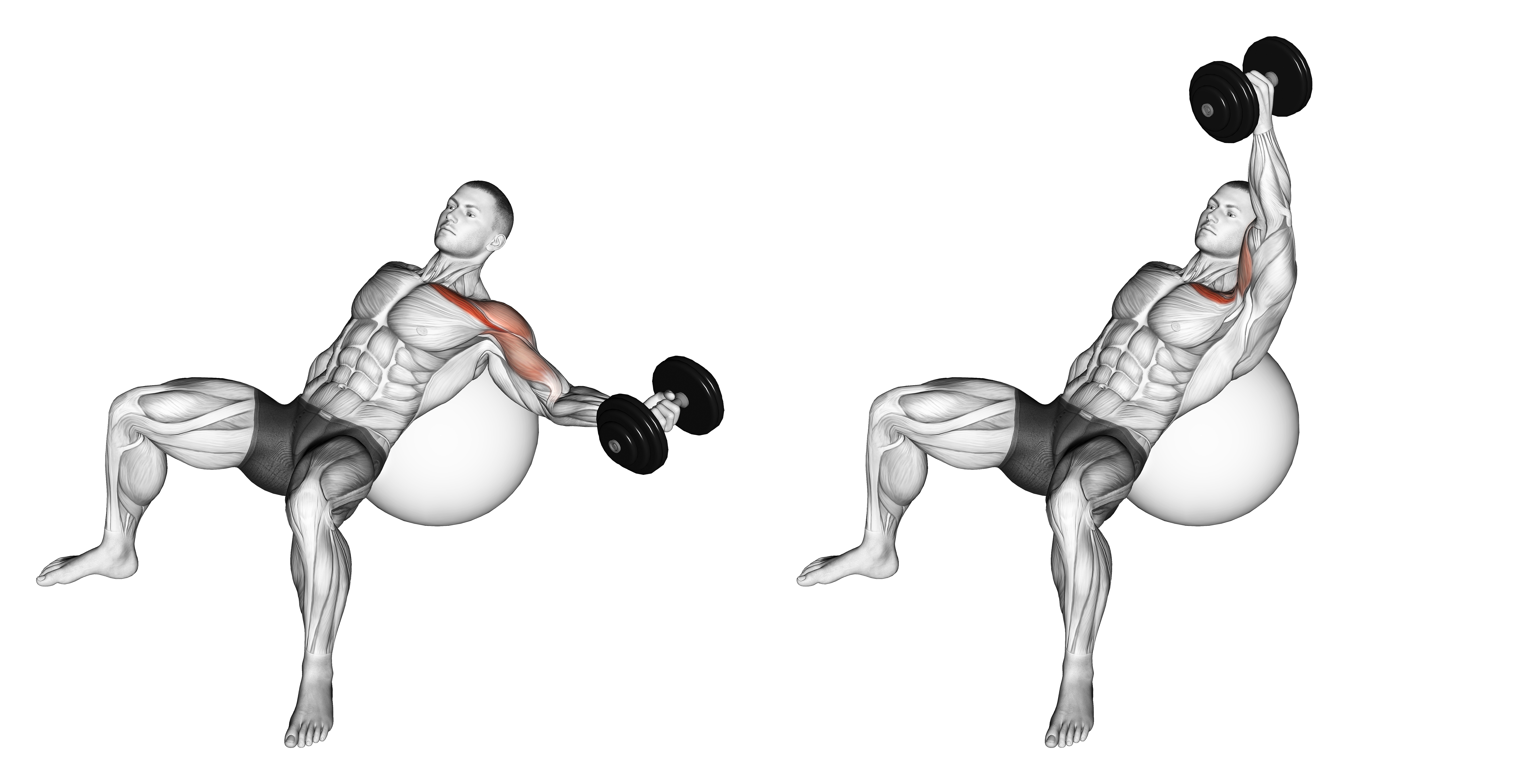 Dumbbell Incline One Arm Fly On Exercise Ball