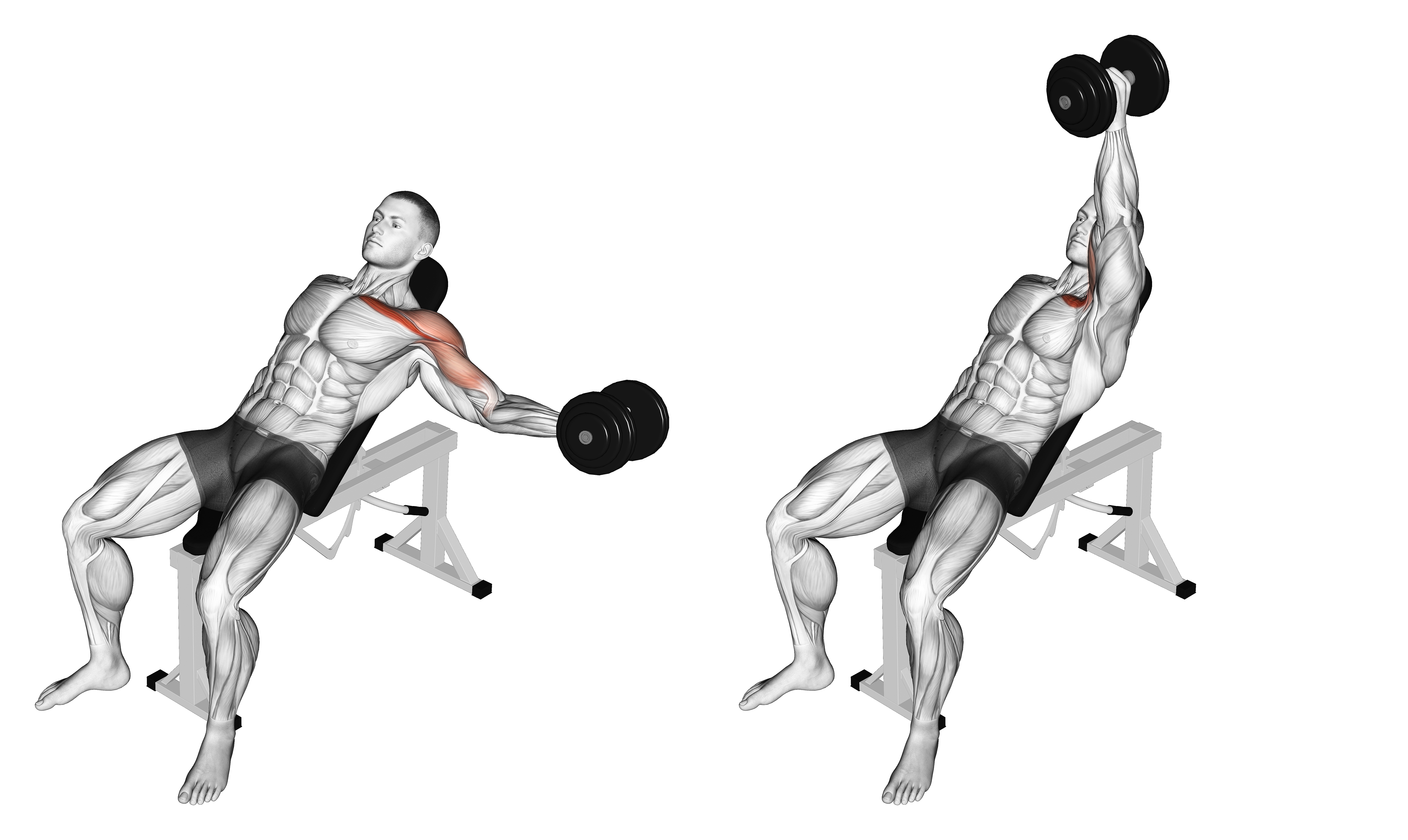 Dumbbell Incline One Arm Fly