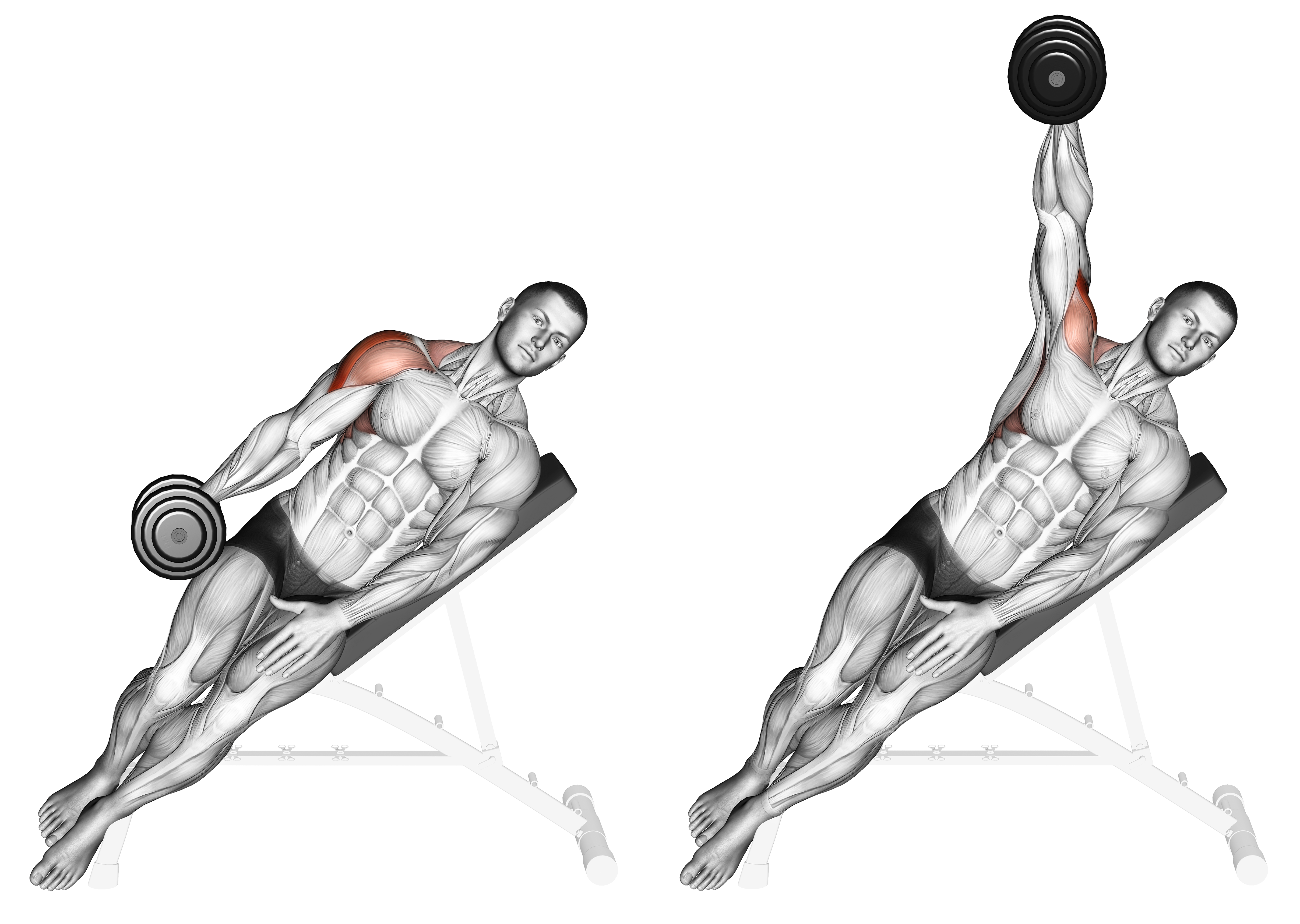 Dumbbell Incline One Arm Lateral Raise