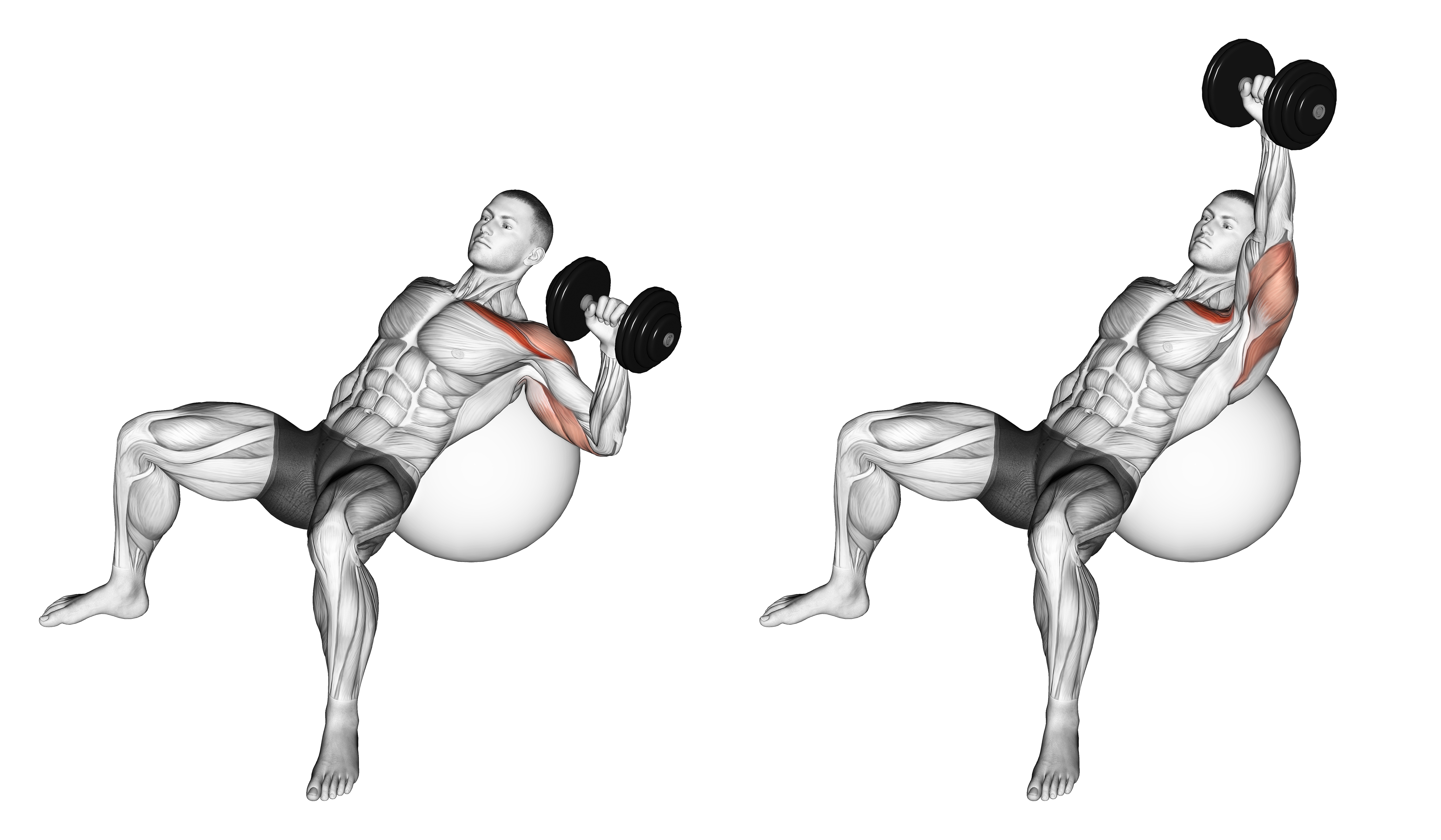 Dumbbell Incline One Arm Press On Exercise Ball