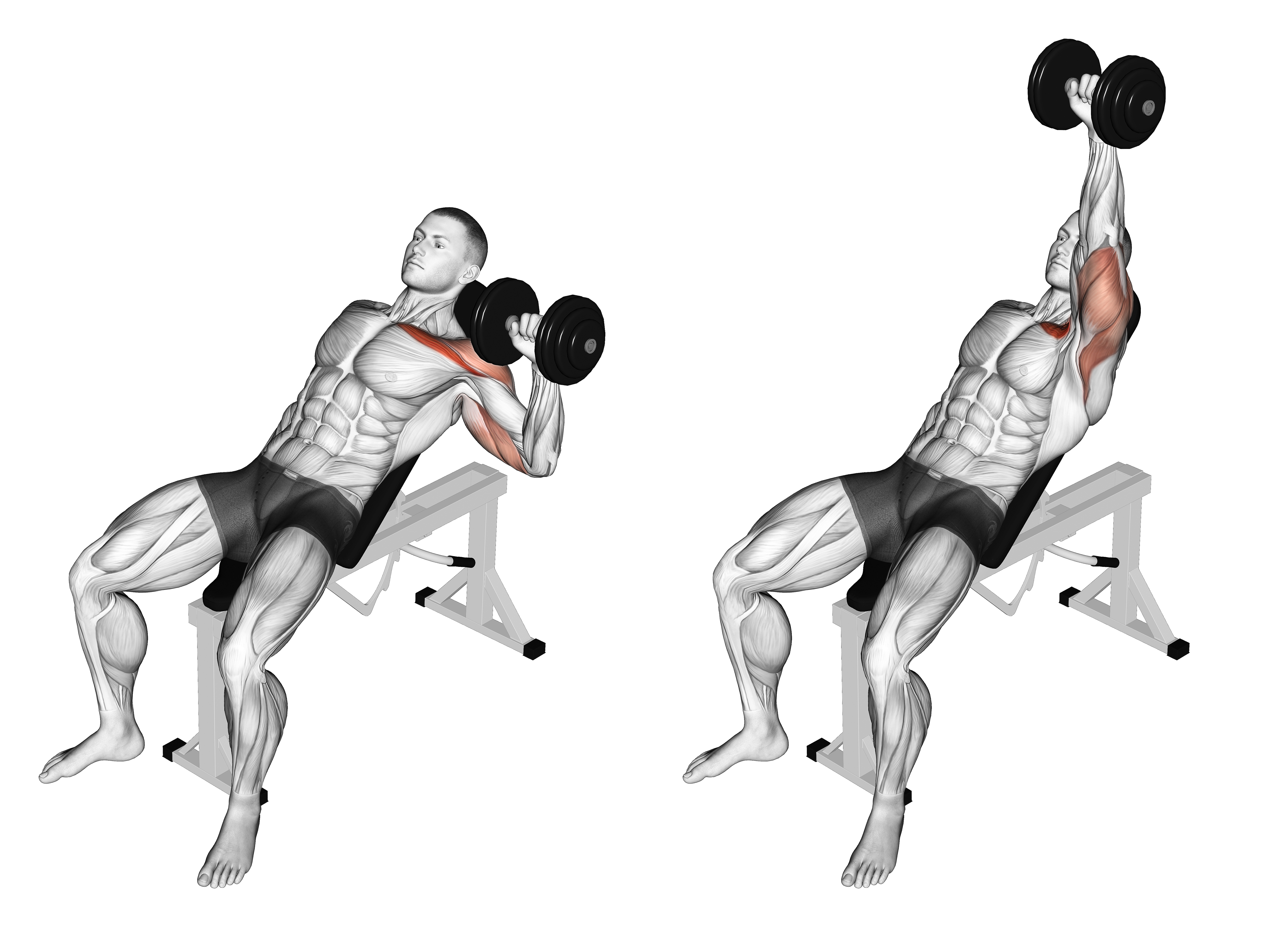 Dumbbell Incline One Arm Press