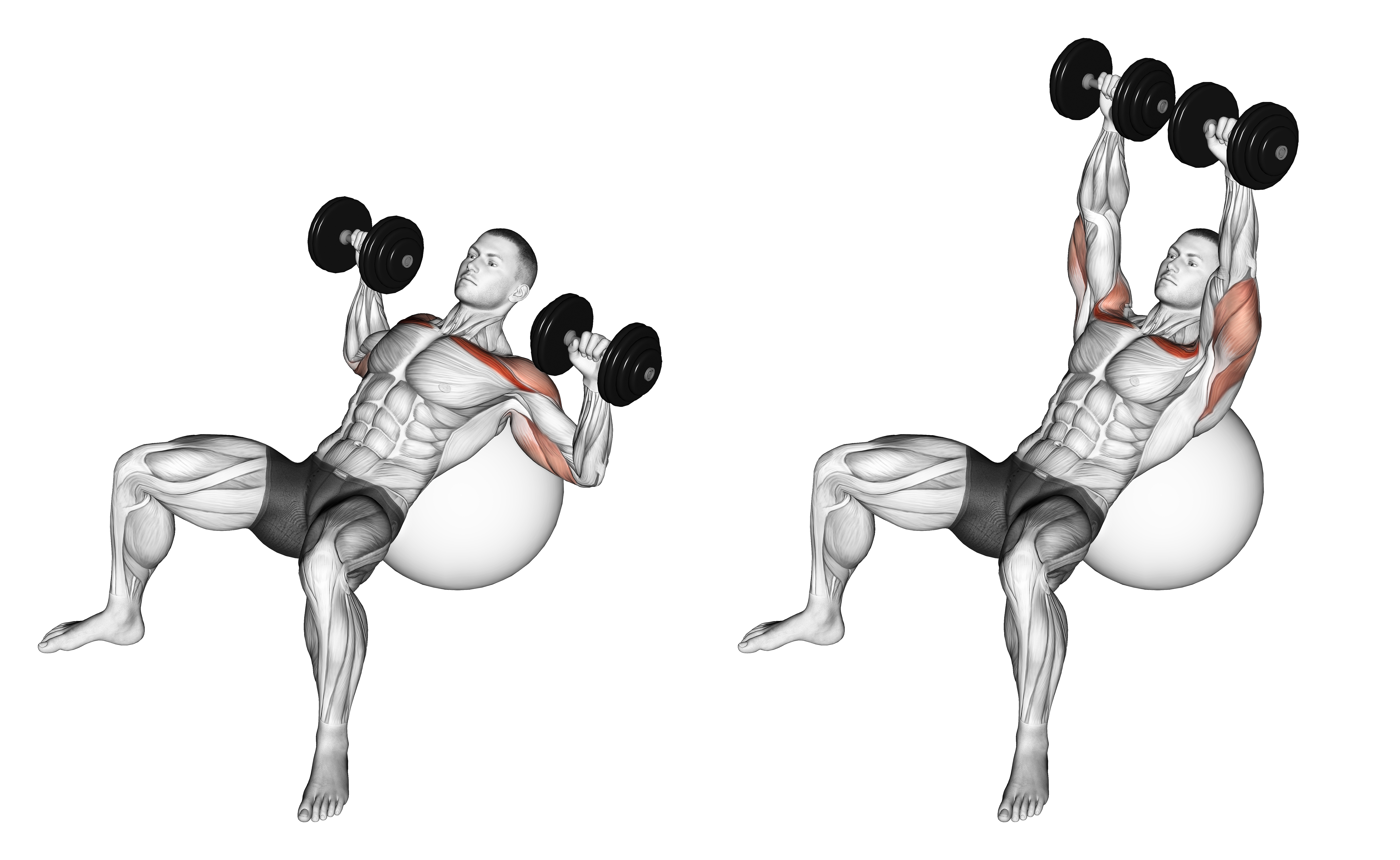 Dumbbell Incline Press On Exercise Ball