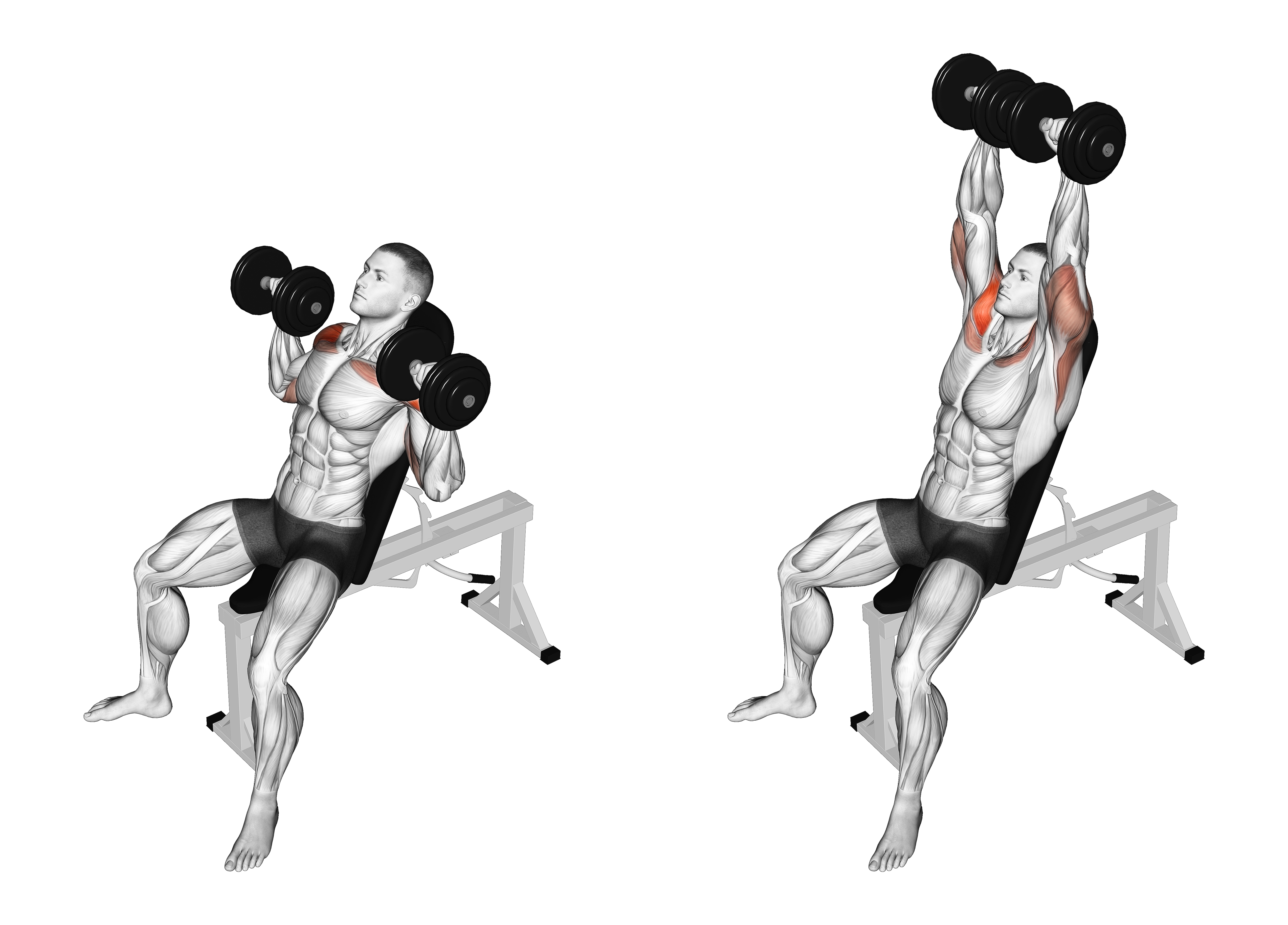 Dumbbell Incline Shoulders Press