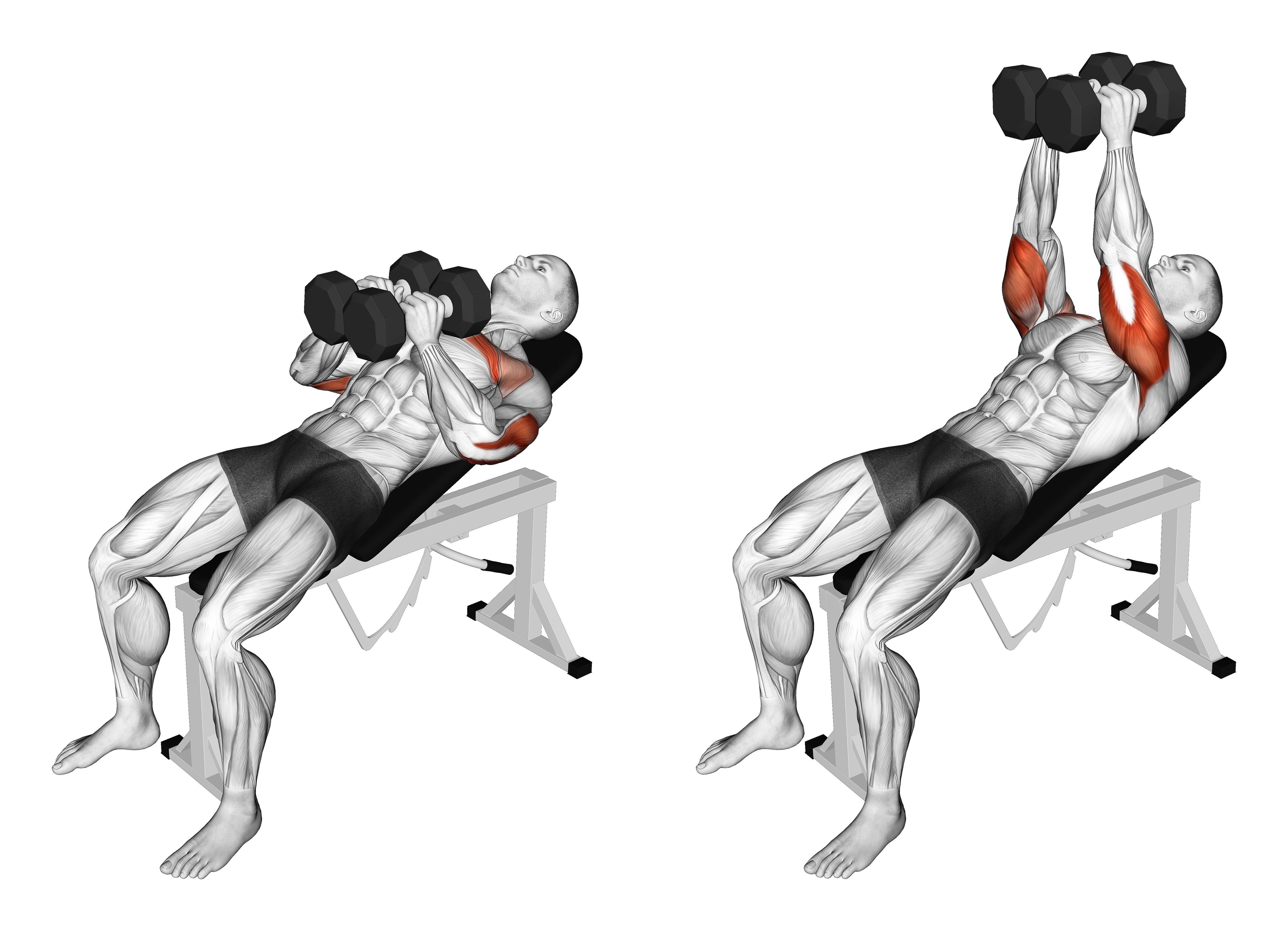 Dumbbell Incline Squeeze Press