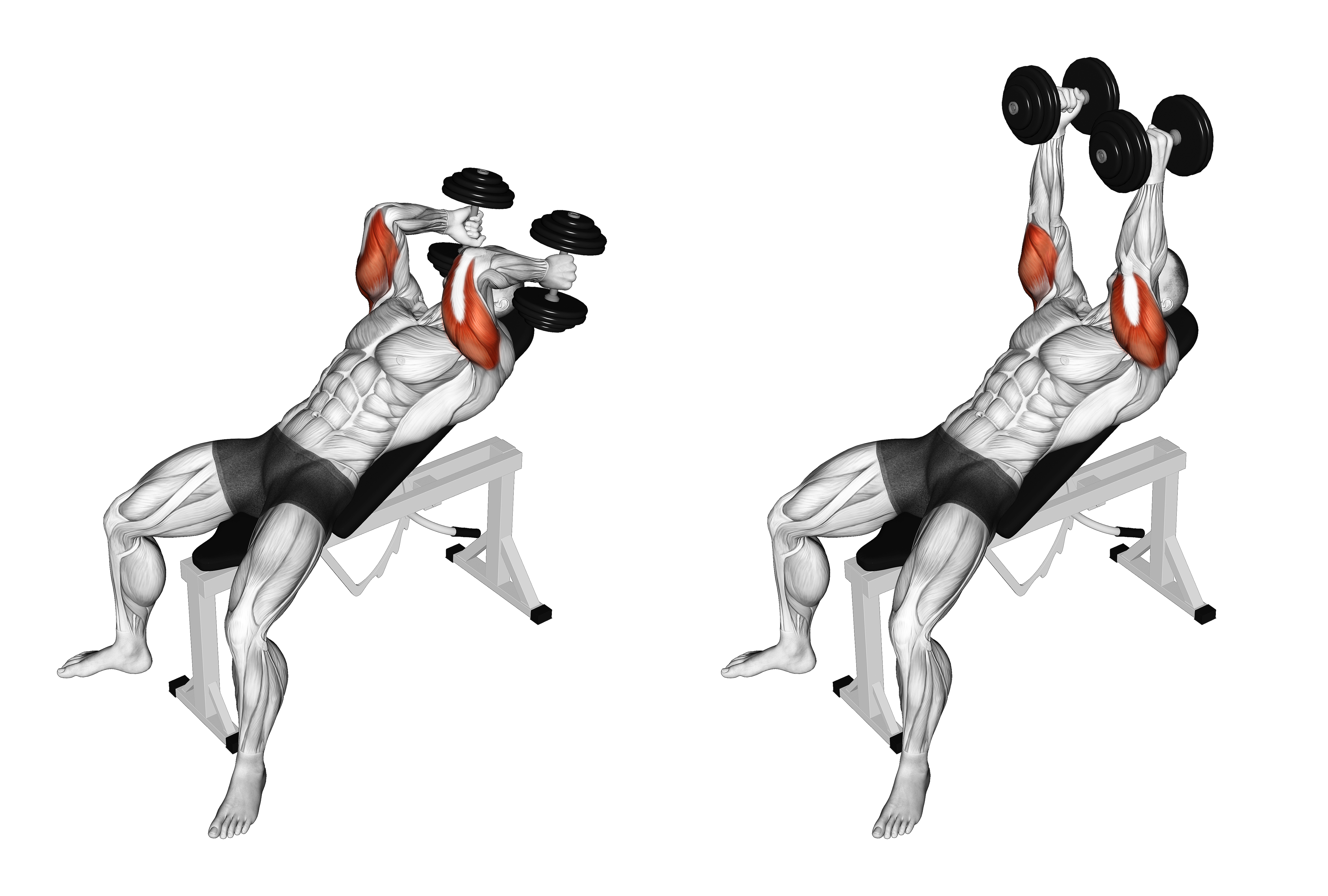 Dumbbell Incline Triceps Extension