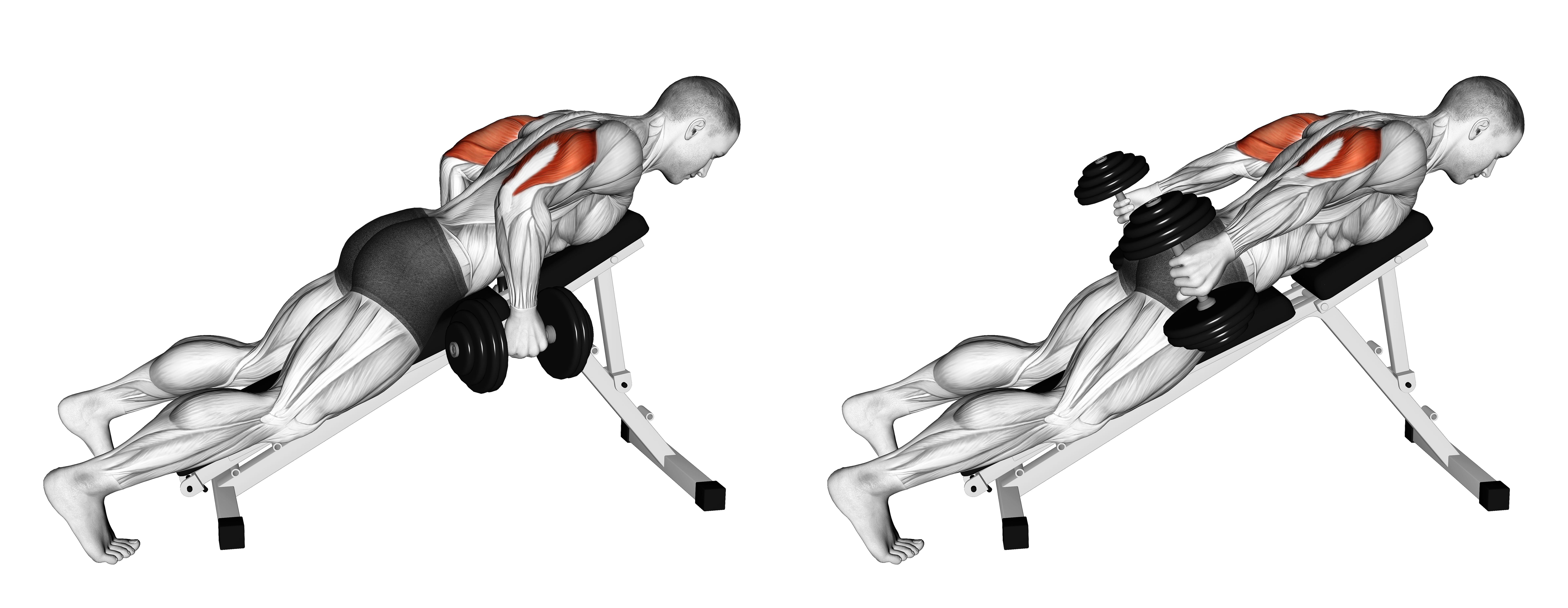 Dumbbell Incline Triceps Kickback