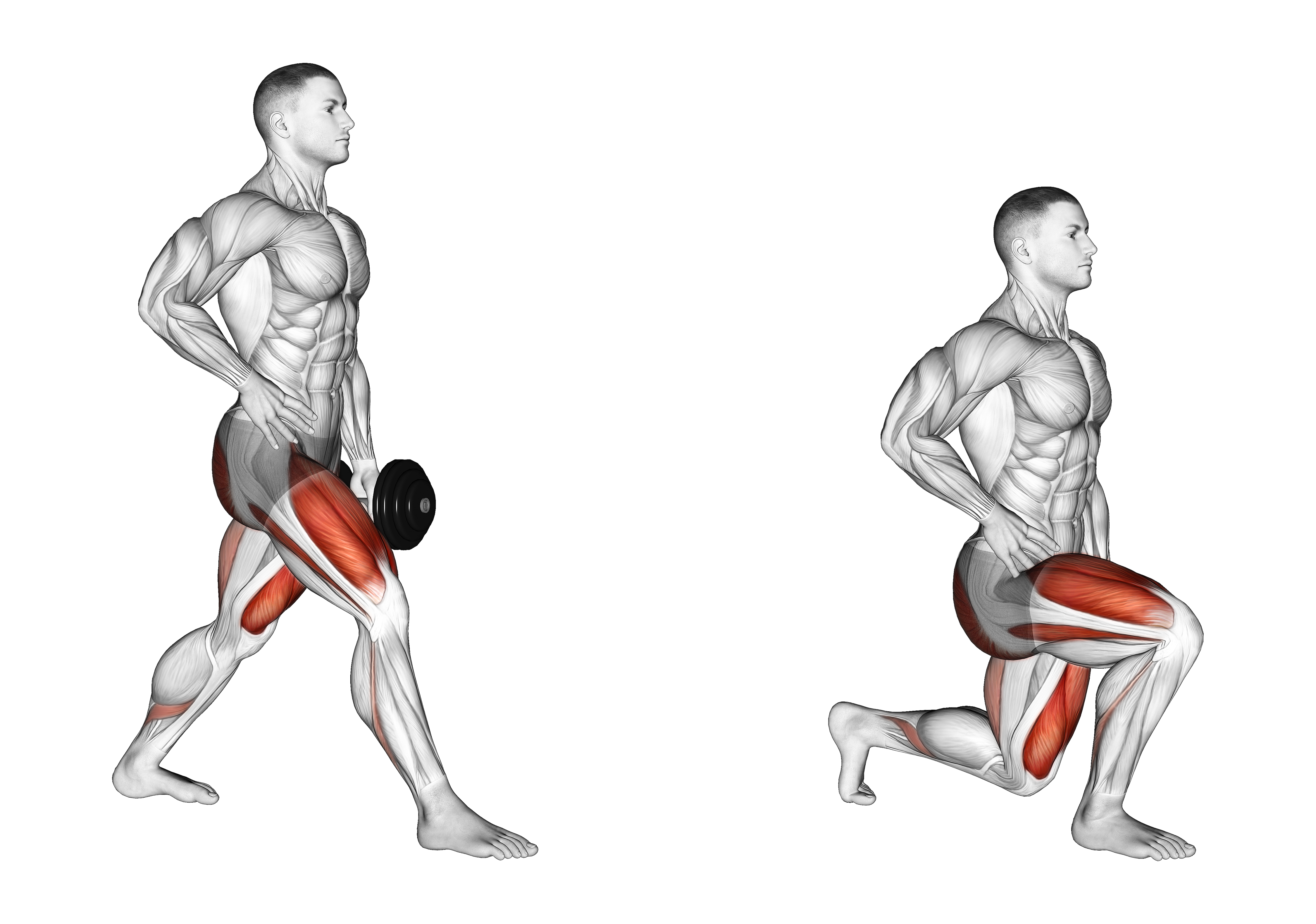 Dumbbell Ipsilateral Split Squat