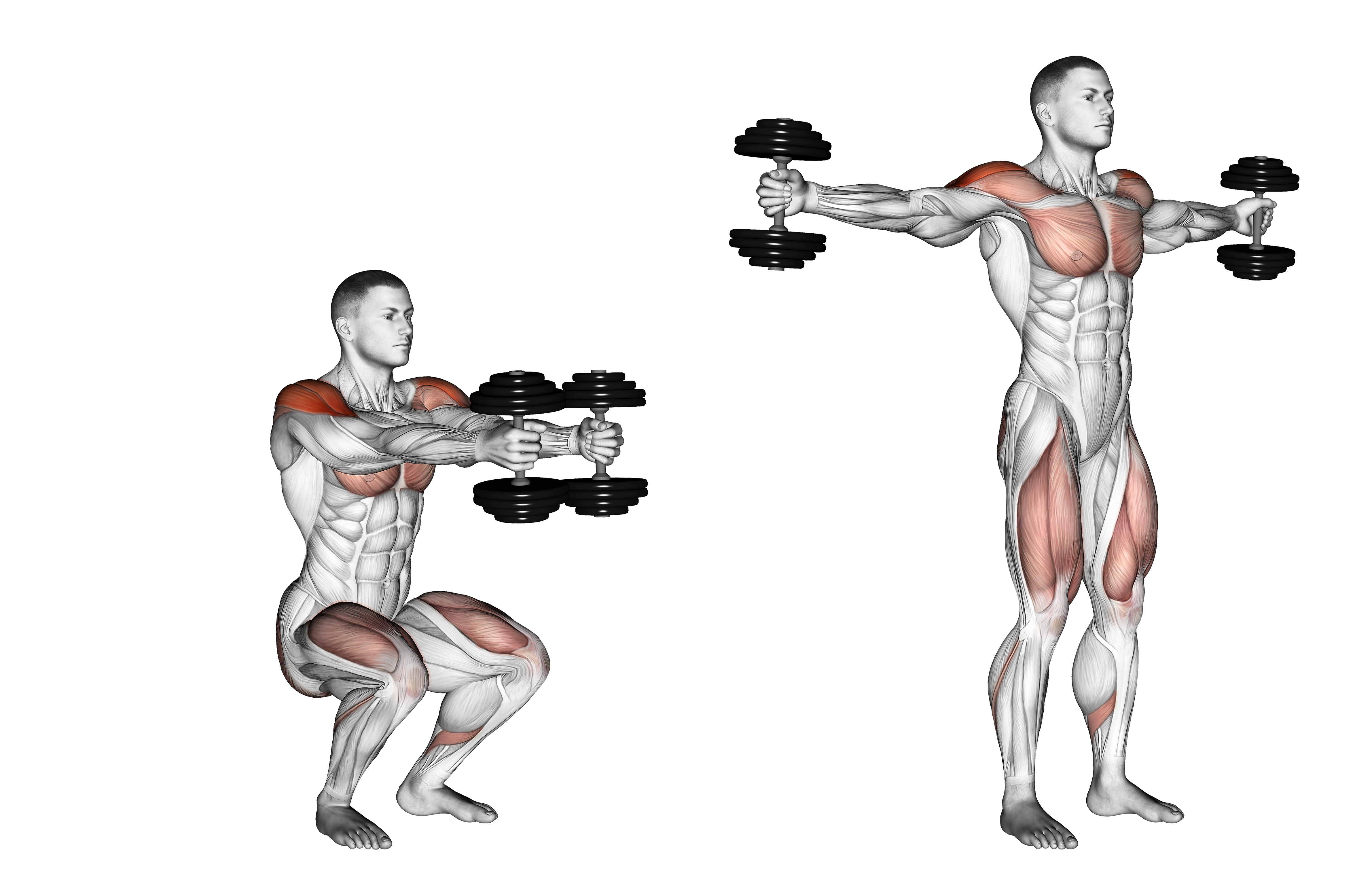 Dumbbell Iron Cross