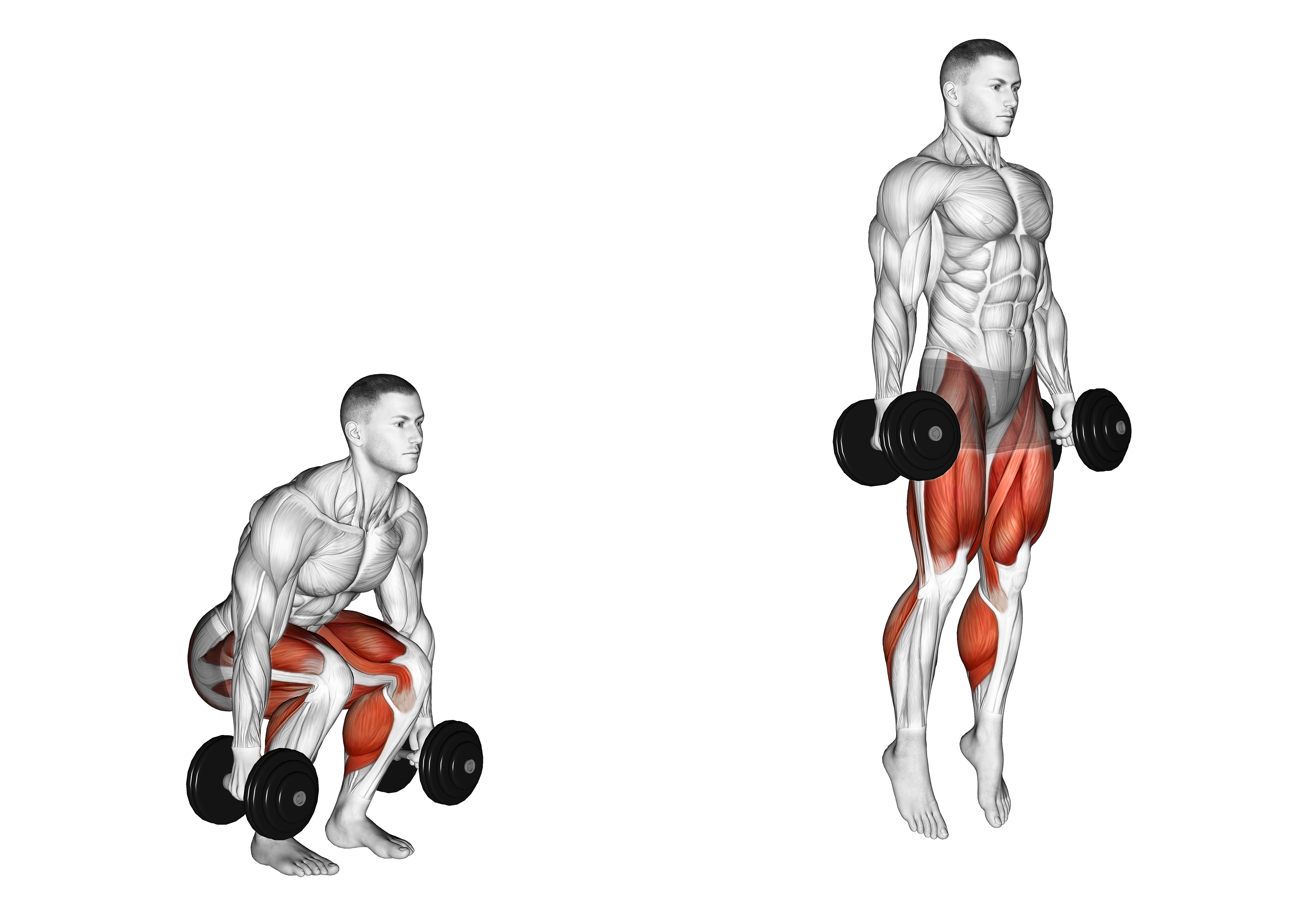 Dumbbell Jumping Squat