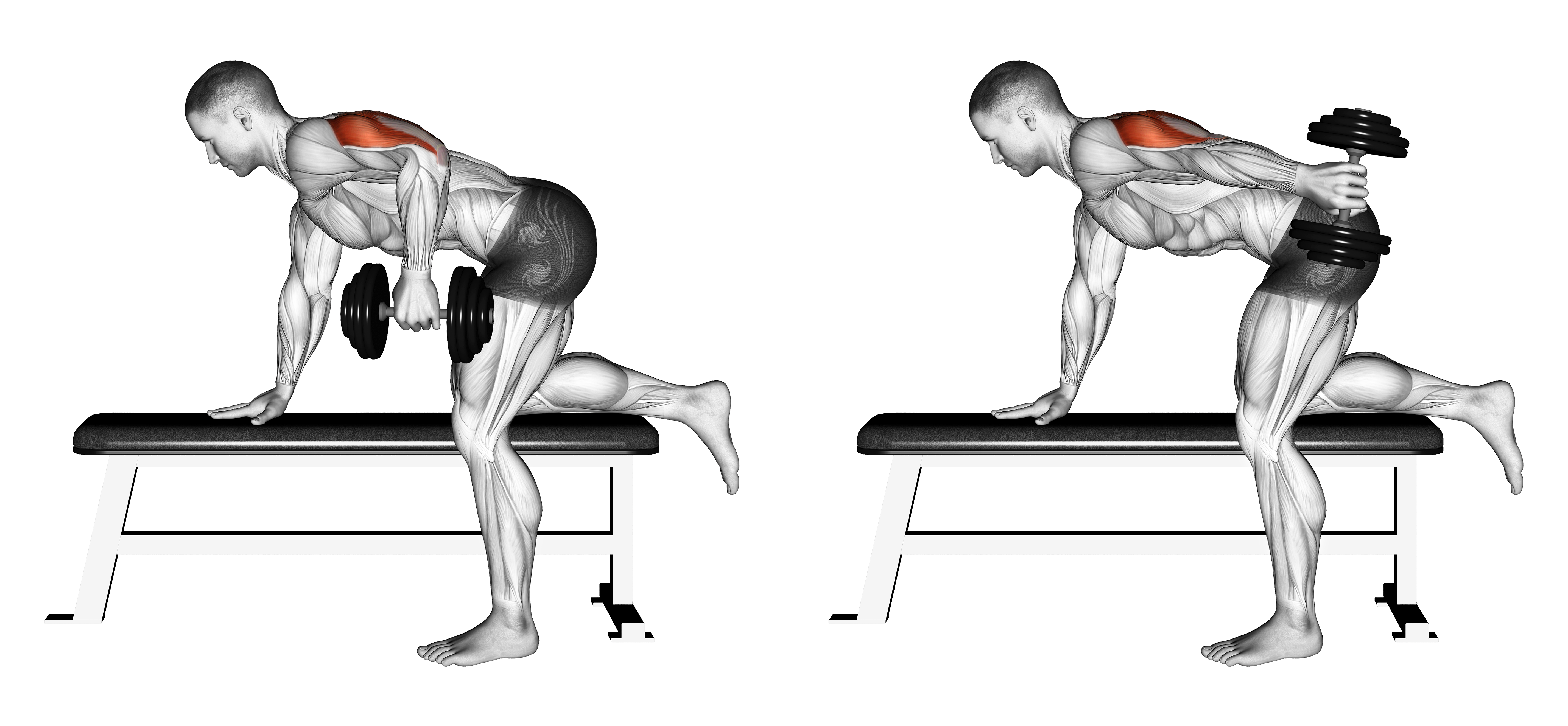 Dumbbell Kickback