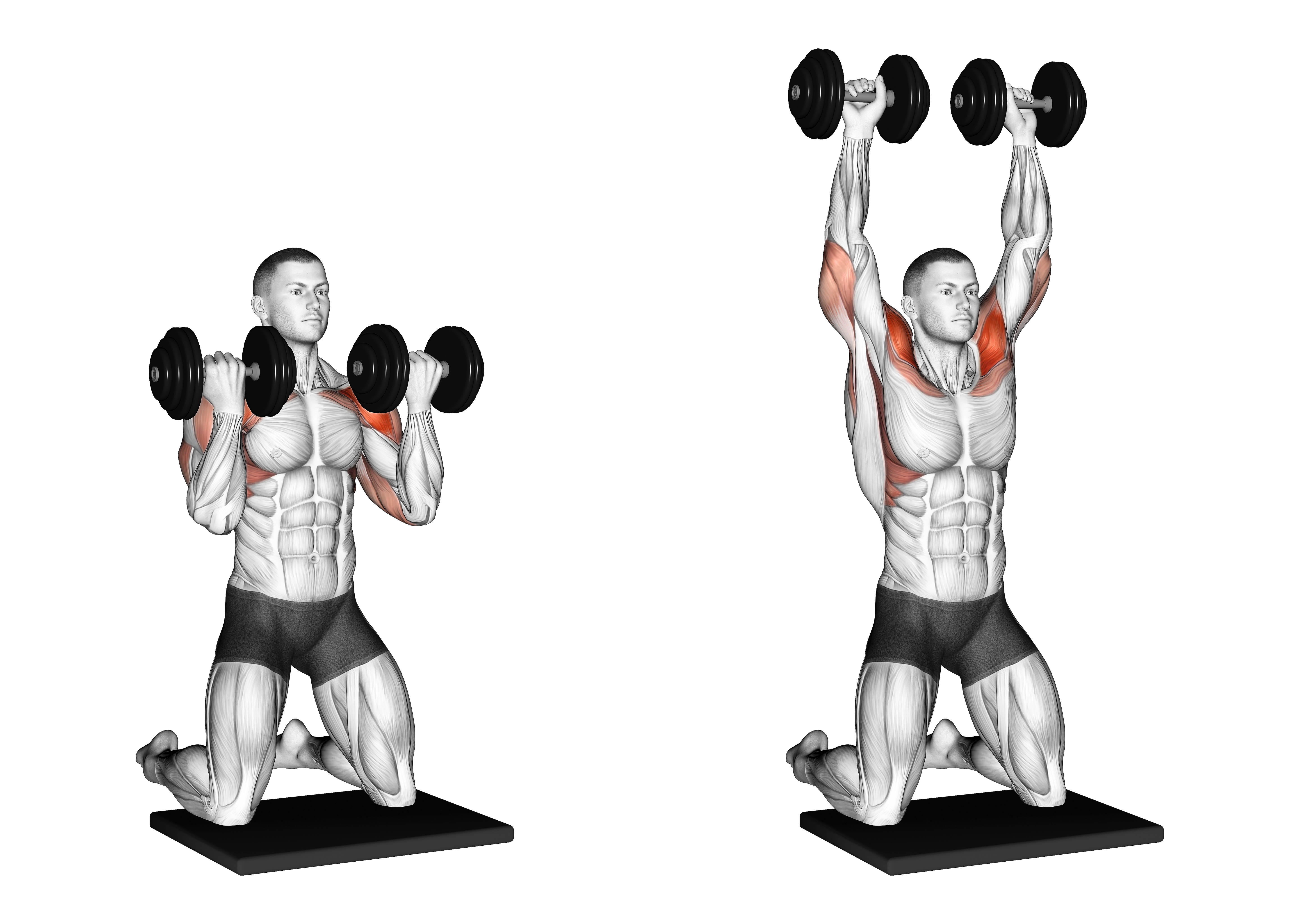 Dumbbell Kneeling Arnold Press