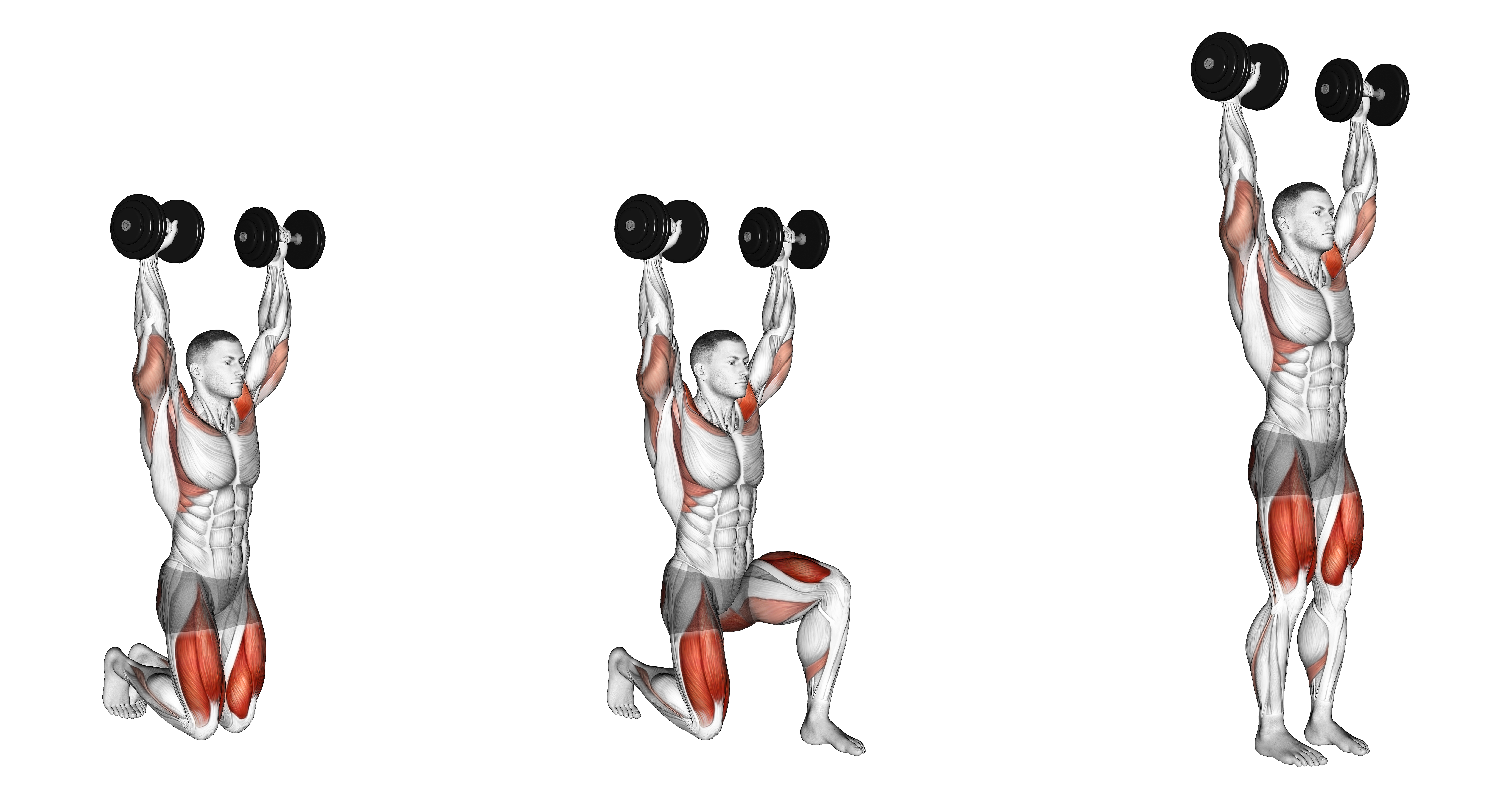 Dumbbell Kneeling Hold To Stand