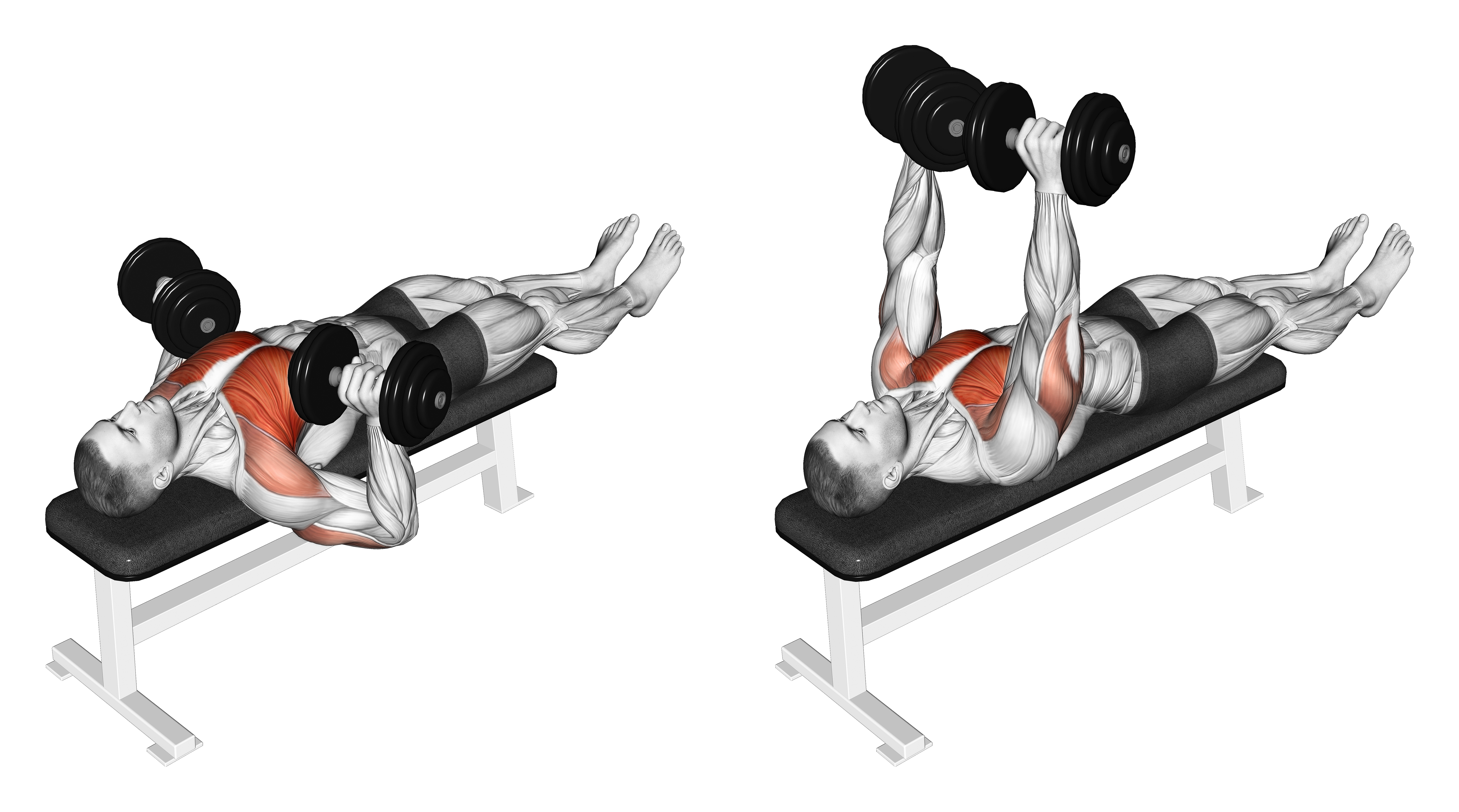 Dumbbell Larsen Press