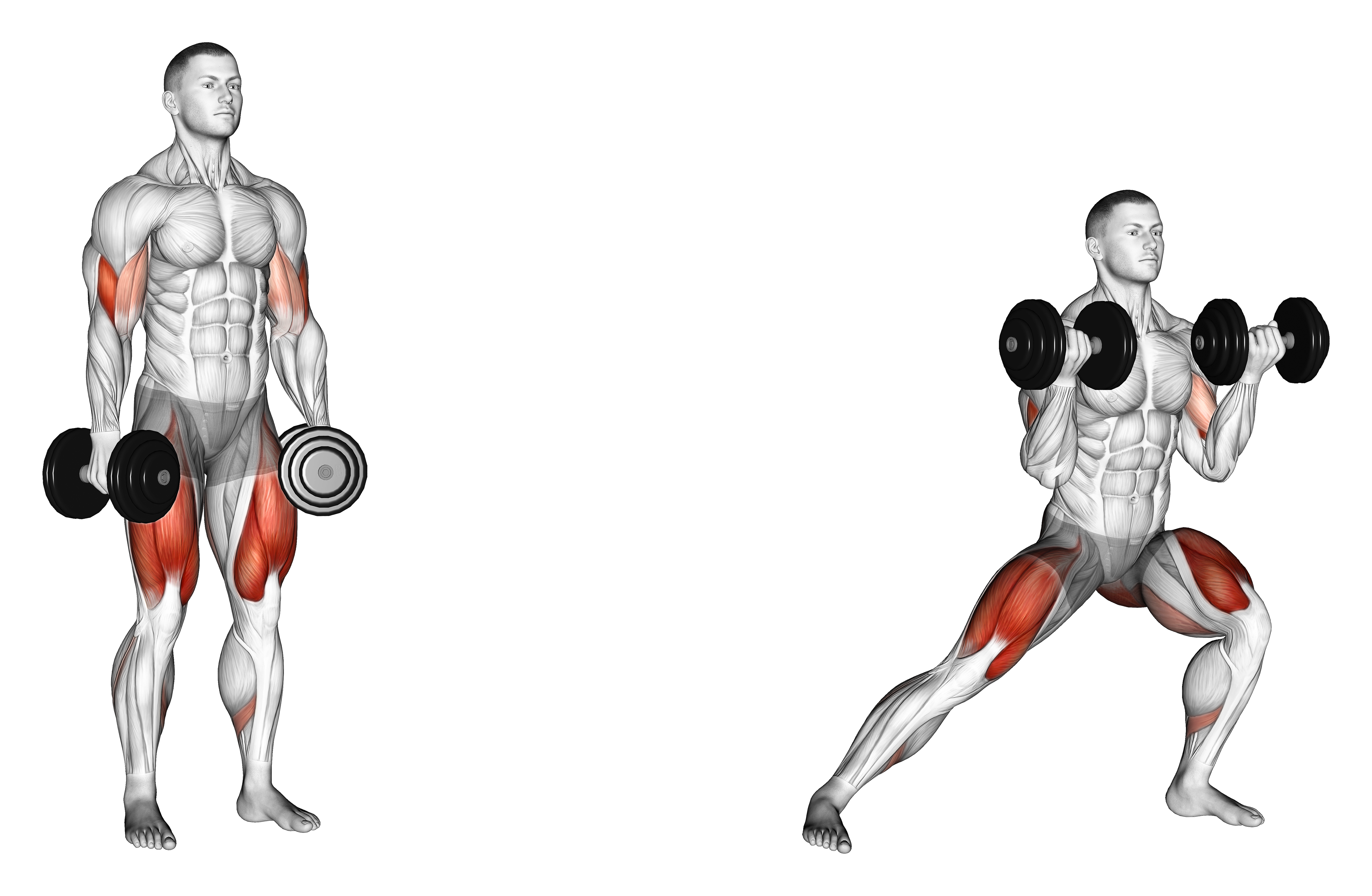 Dumbbell Lateral Lunge With Bicep Curl