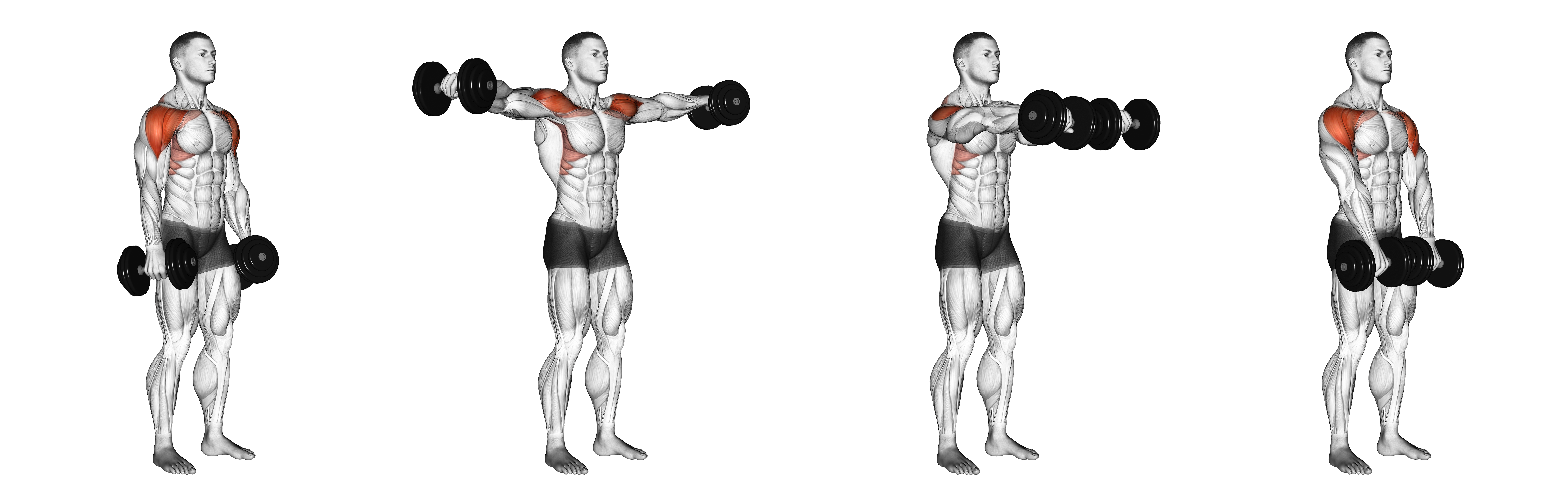 Dumbbell Lateral To Front Raise