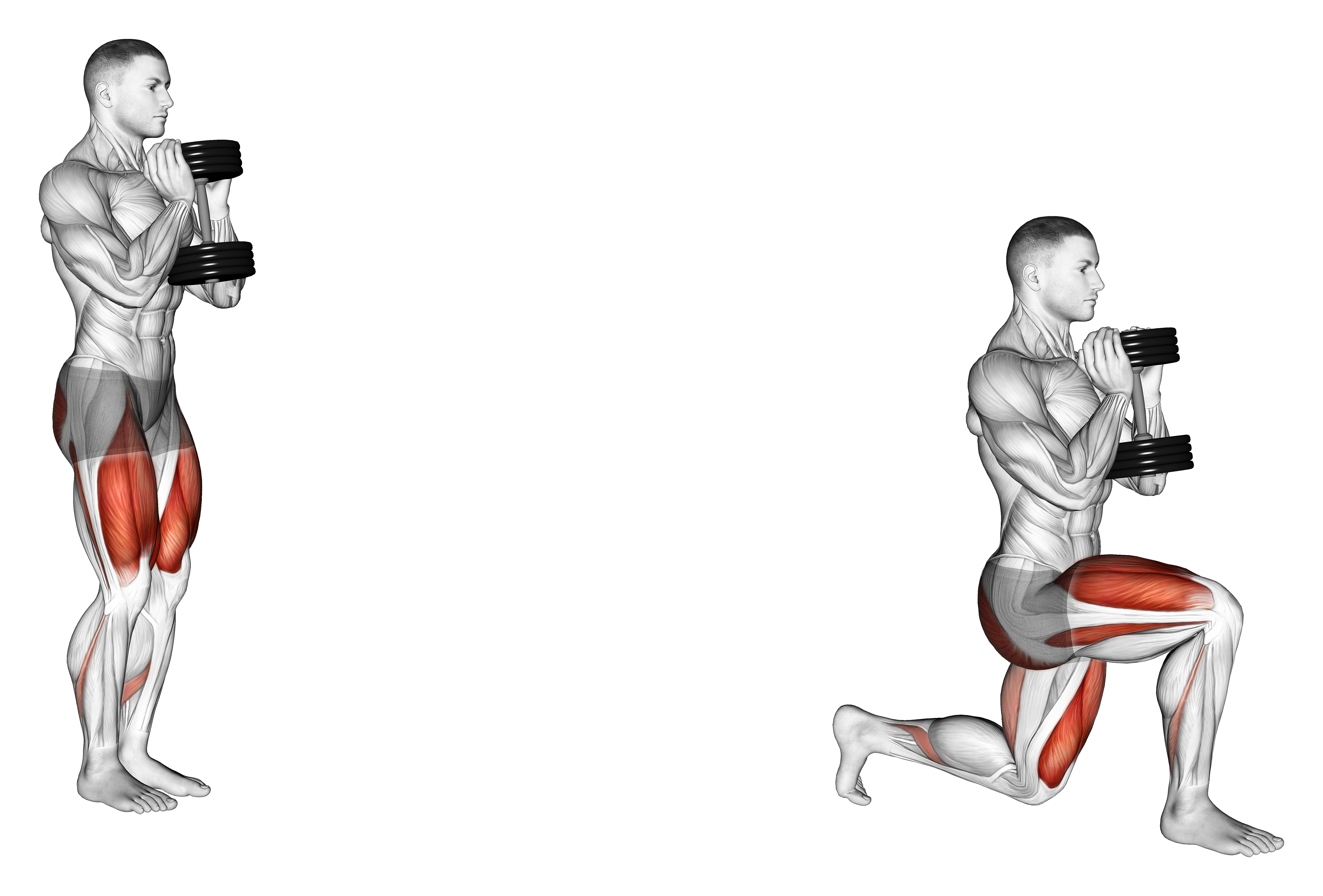 Dumbbell Lunge (version 2)
