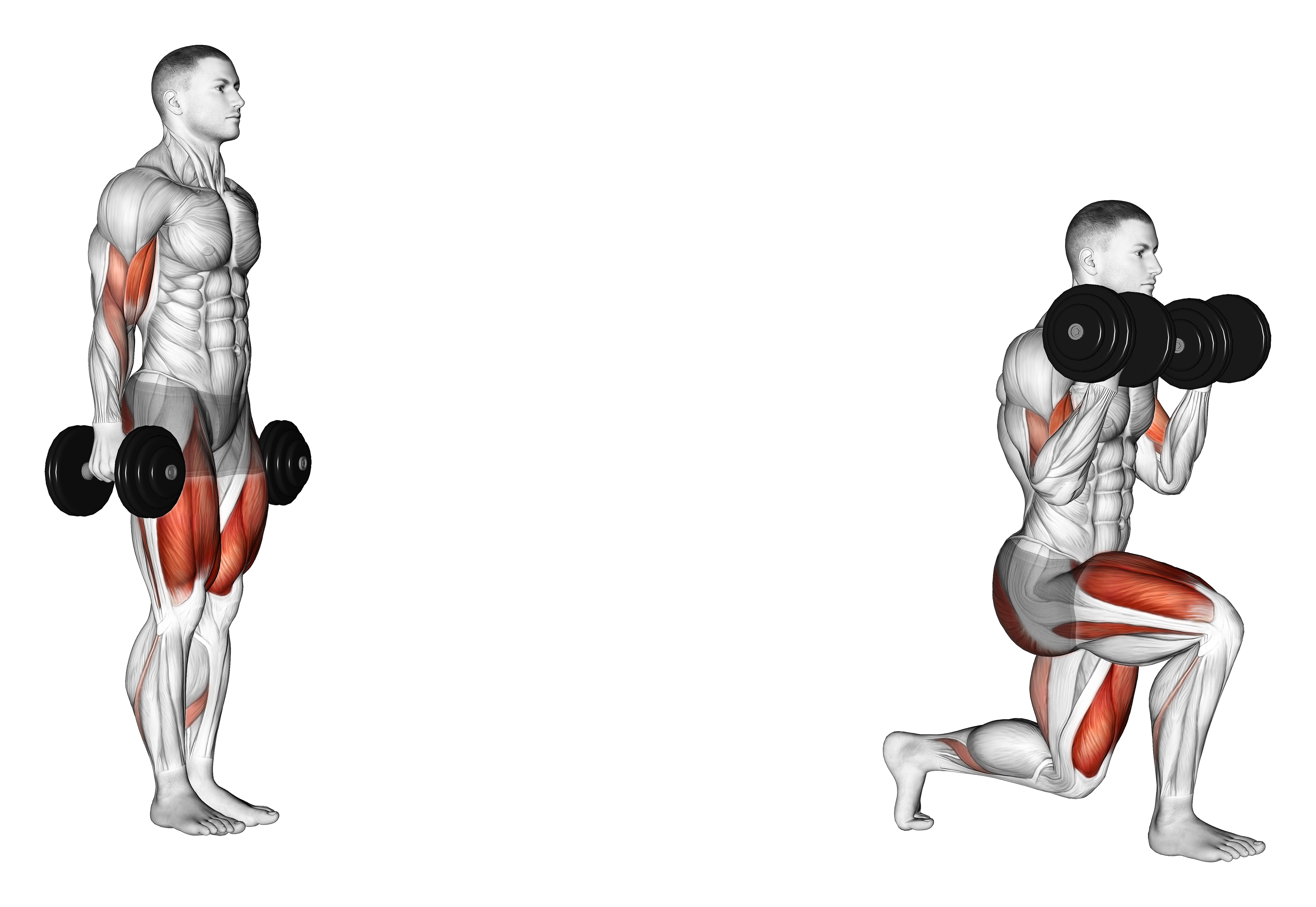 Dumbbell Lunge With Bicep Curl