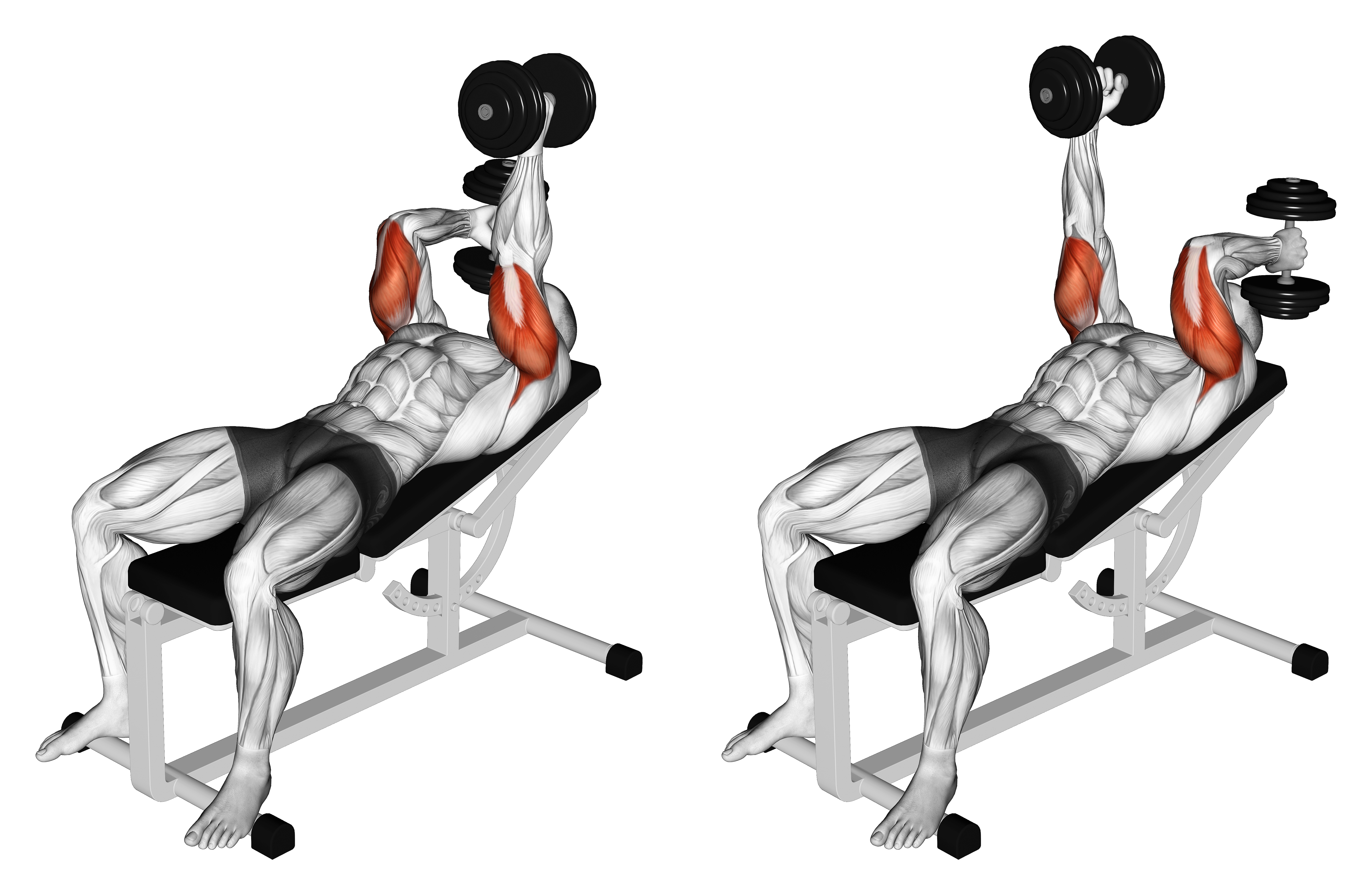 Dumbbell Lying Alternate Extension