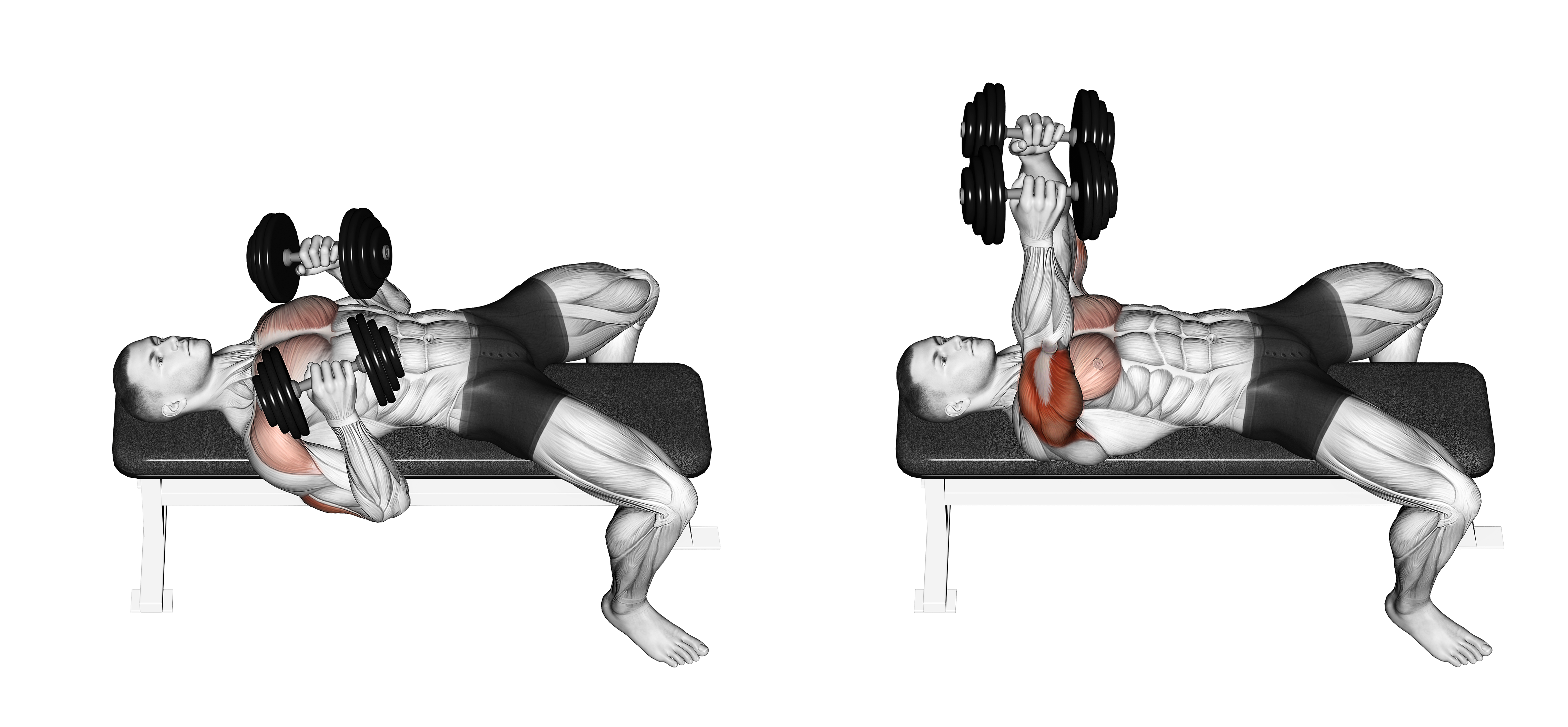 Dumbbell Lying Elbow Press