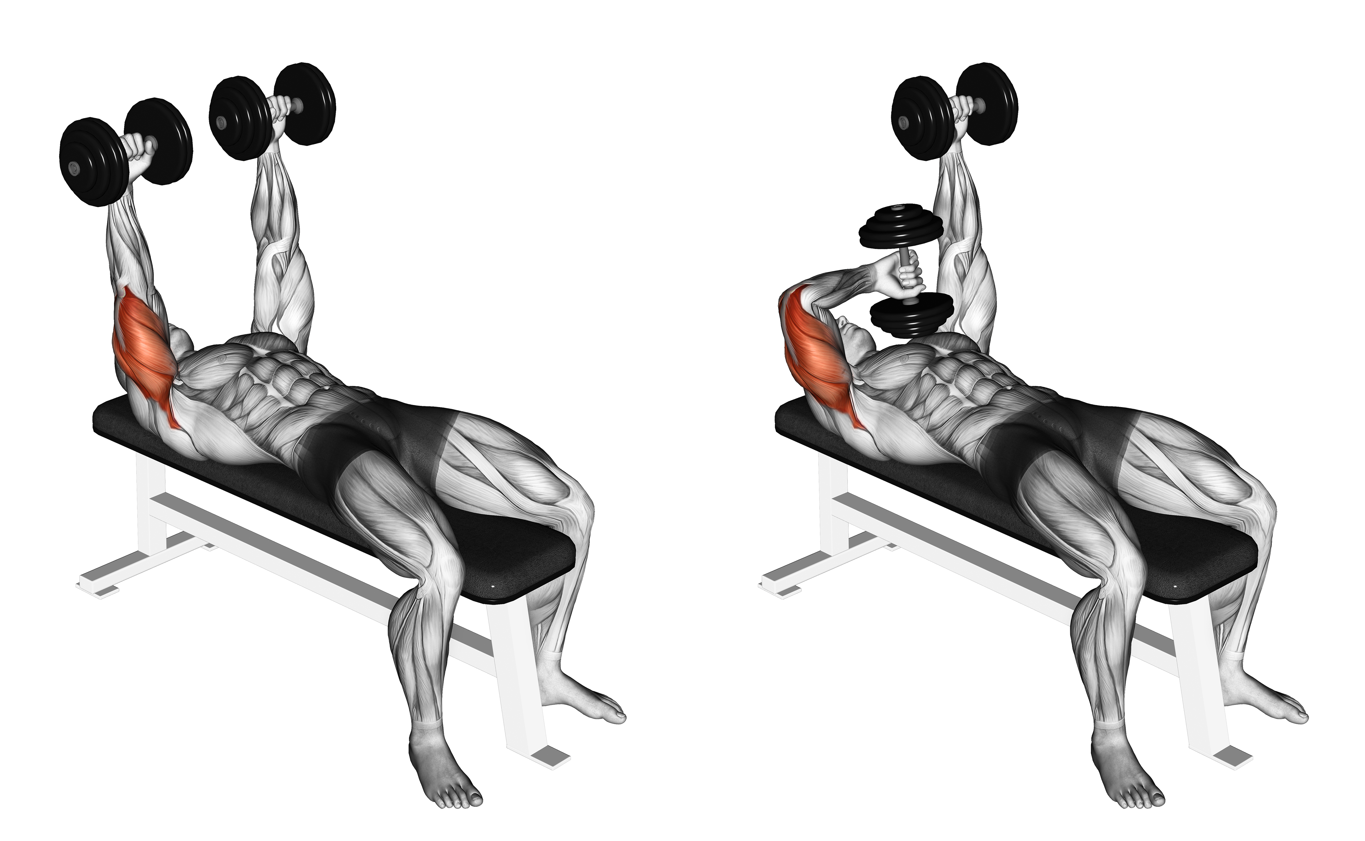 Dumbbell Lying Extension (across Face)