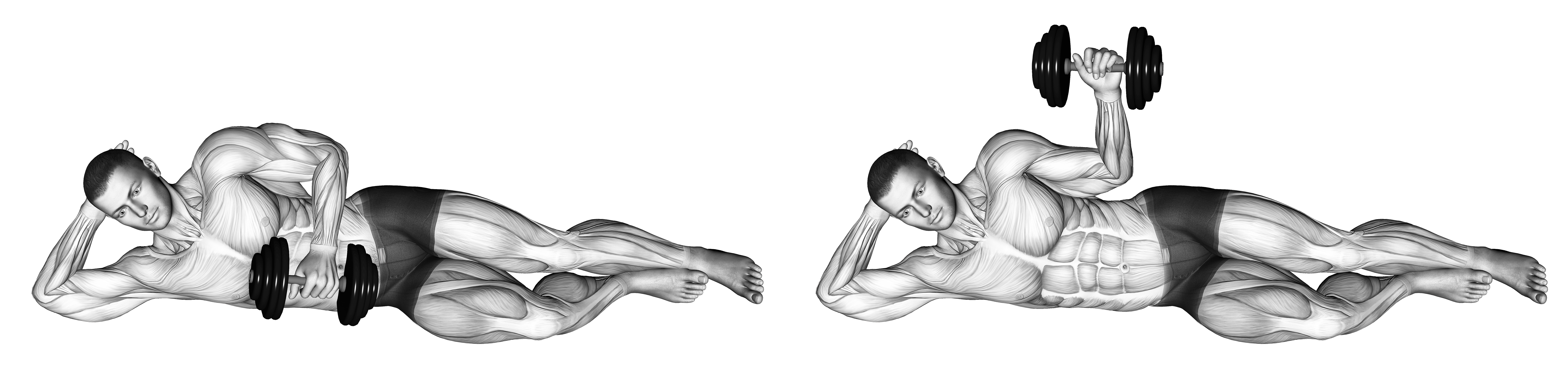 Dumbbell Lying External Shoulder Rotation