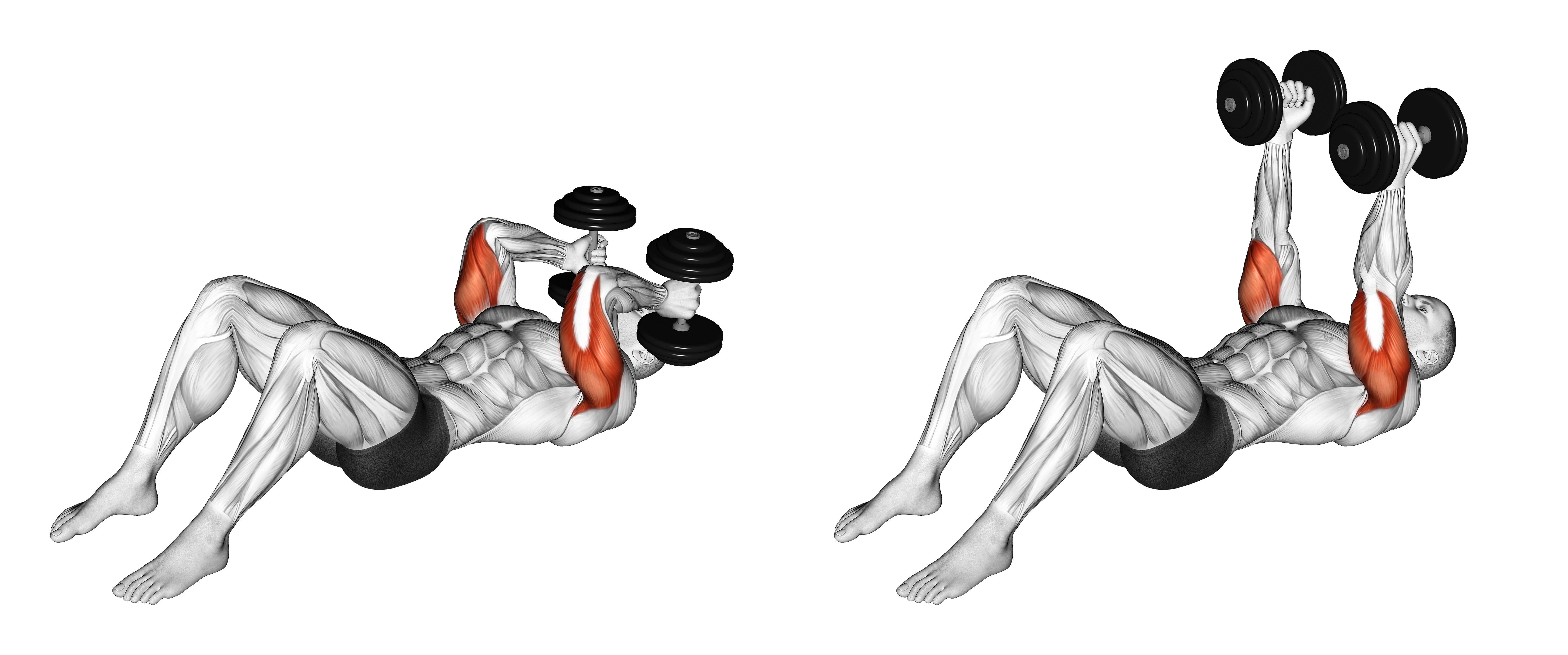Dumbbell Lying Floor Skullcrusher