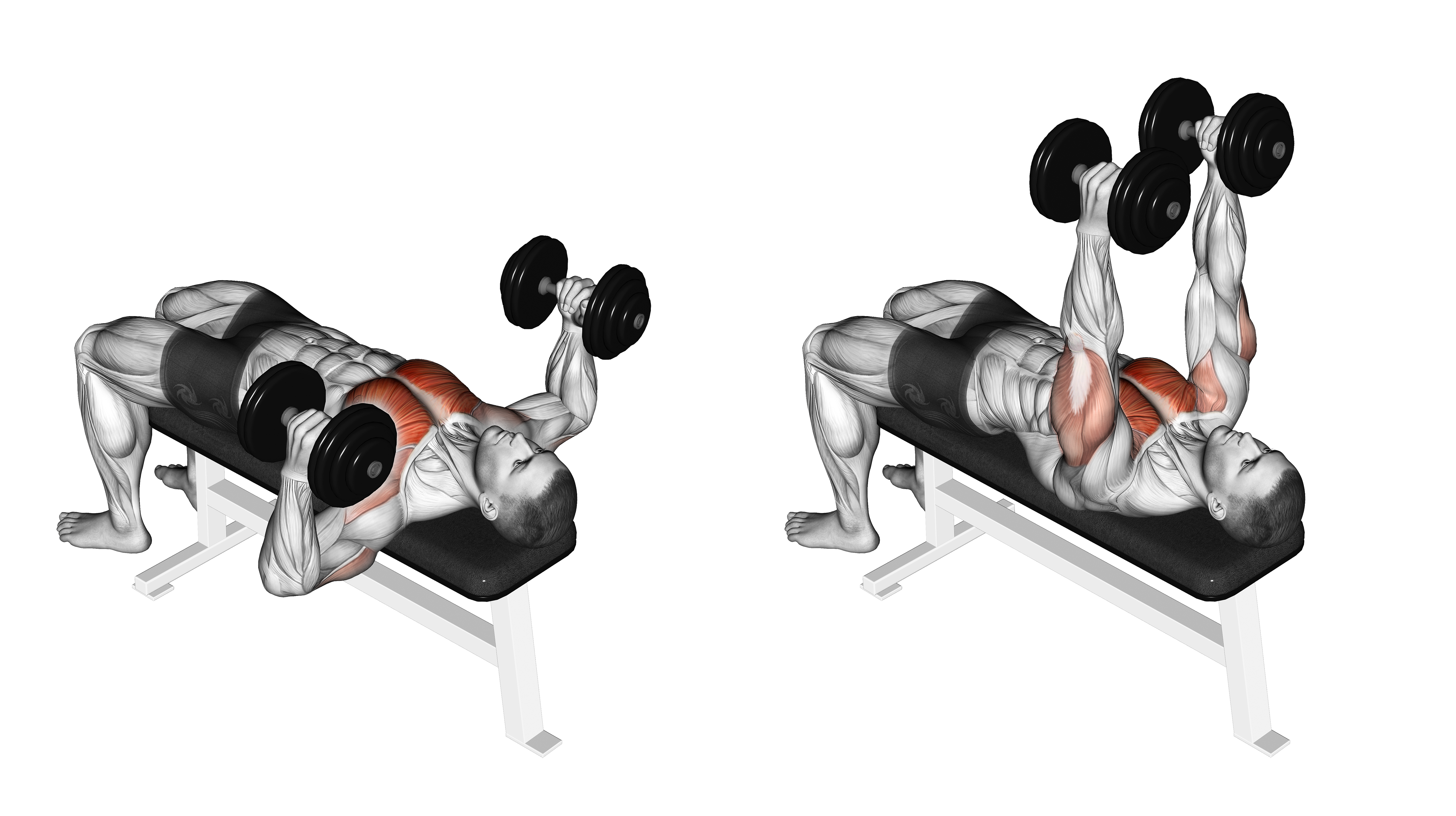 Dumbbell Lying Hammer Press