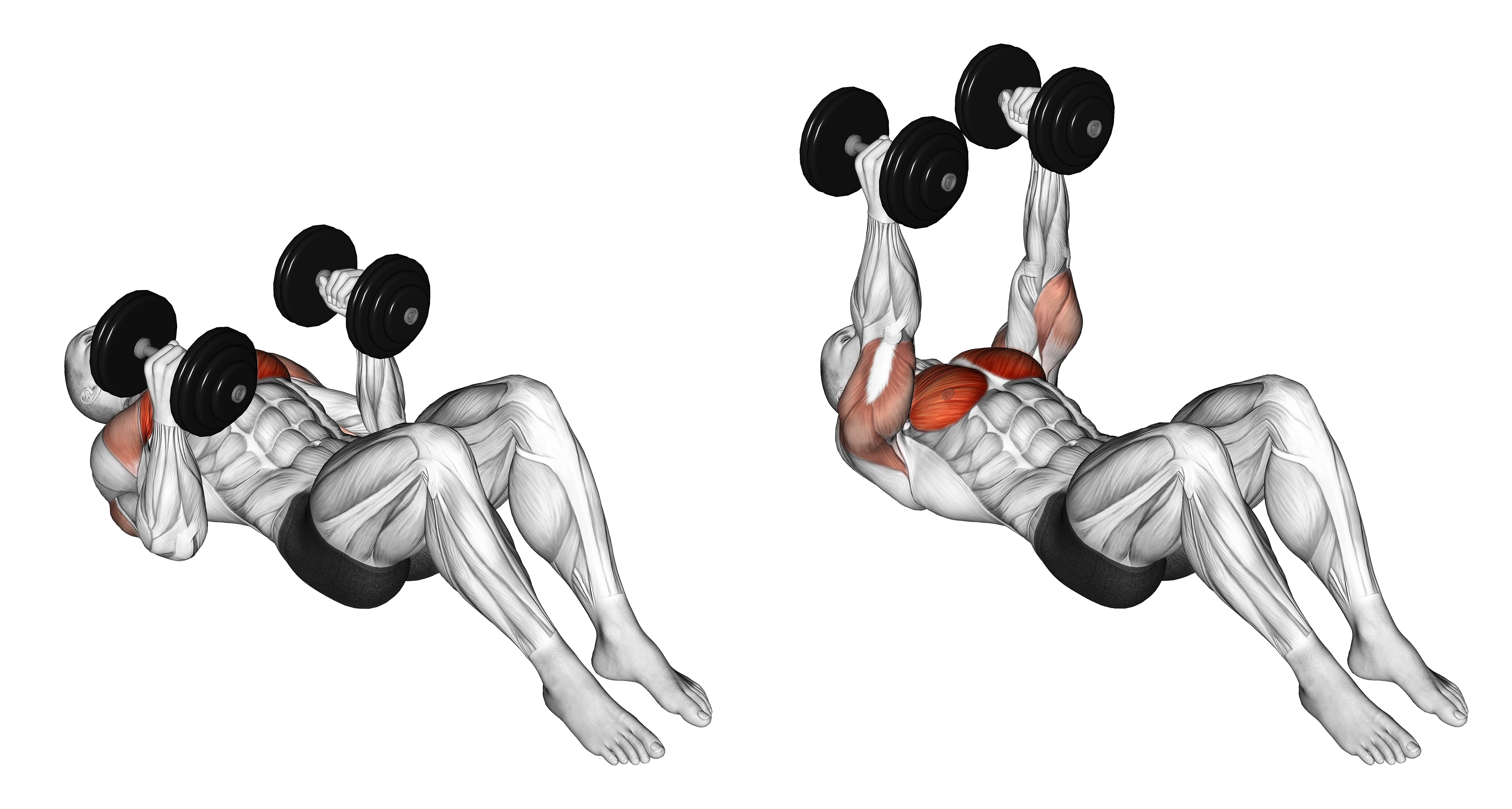 Dumbbell Lying On Floor Hammer Press