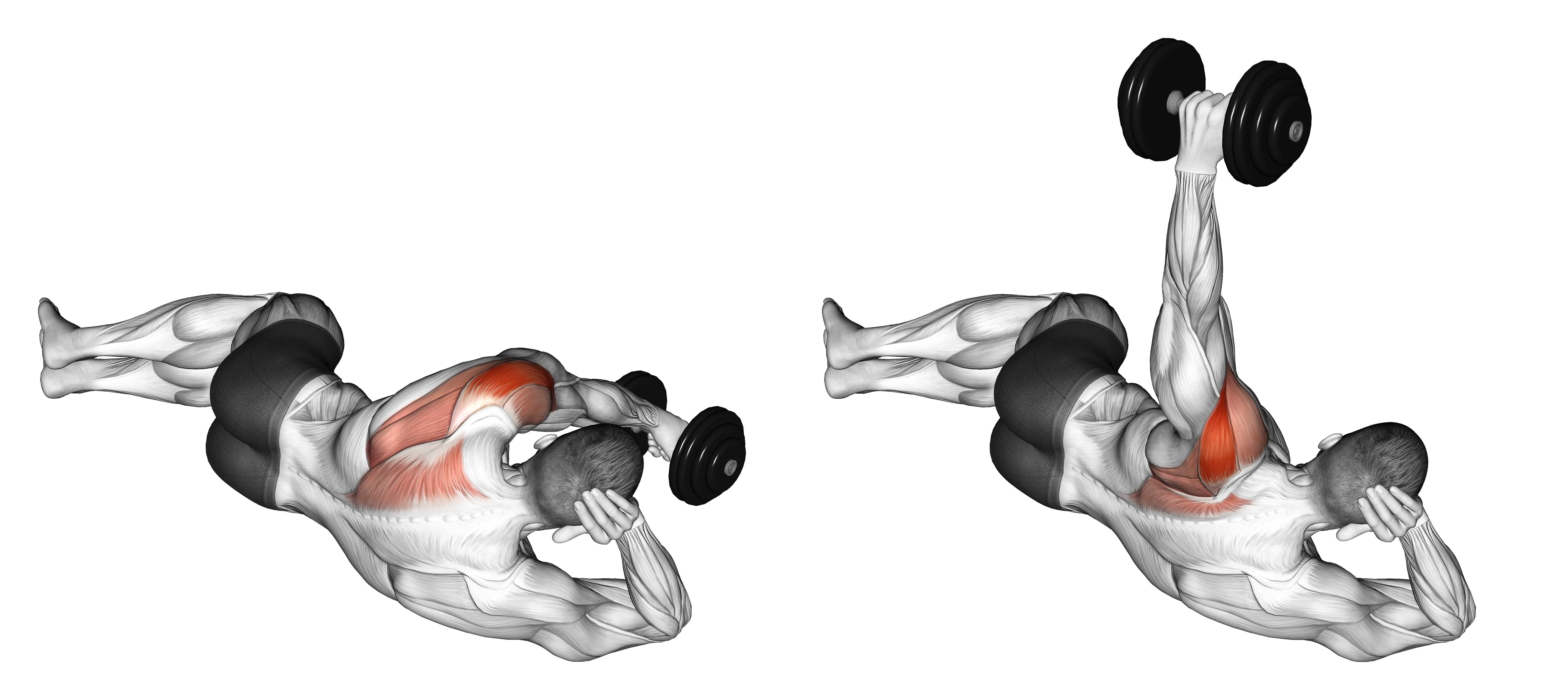 Dumbbell Lying On Floor Rear Delt Raise
