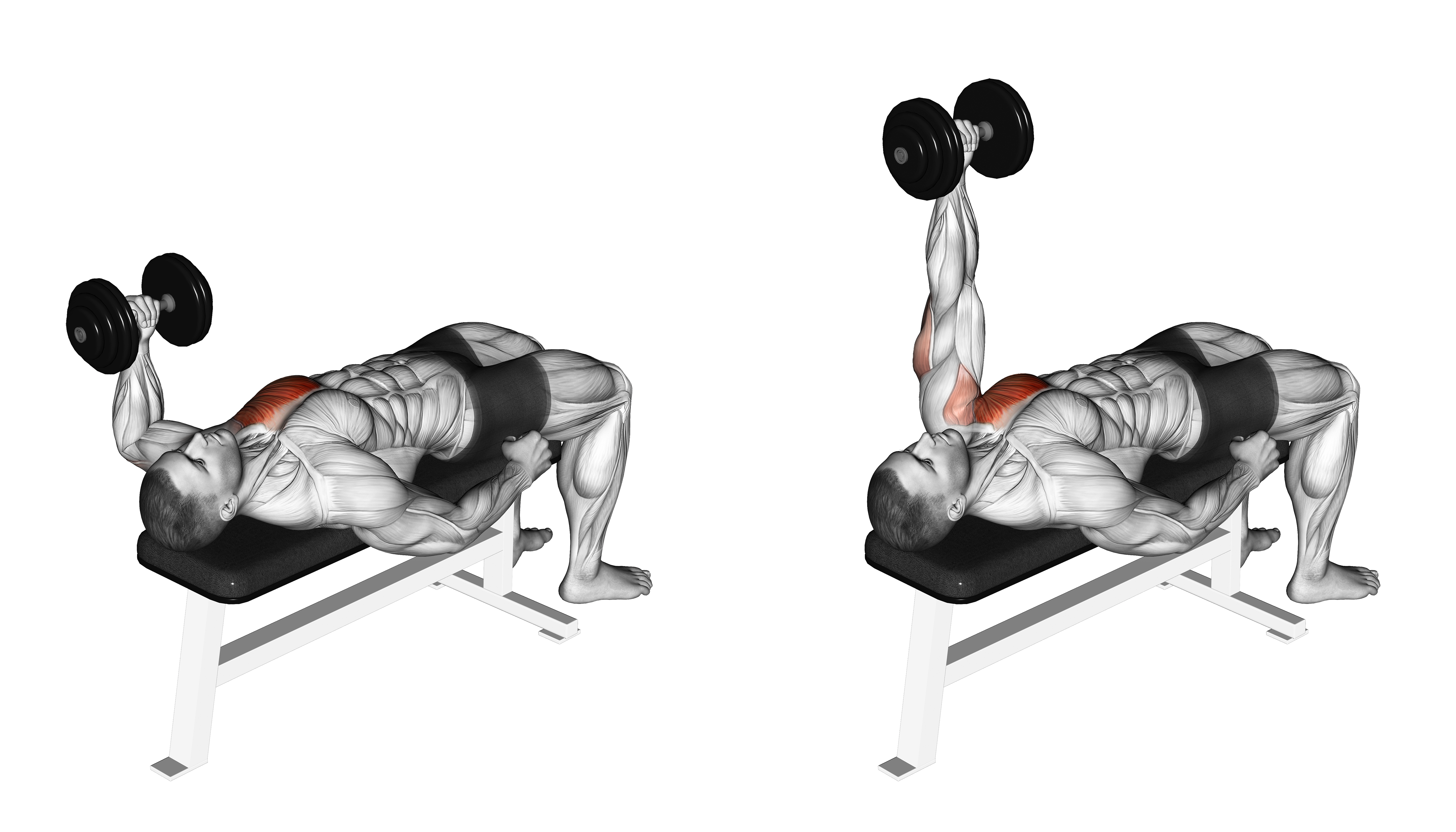 Dumbbell Lying One Arm Press Ii
