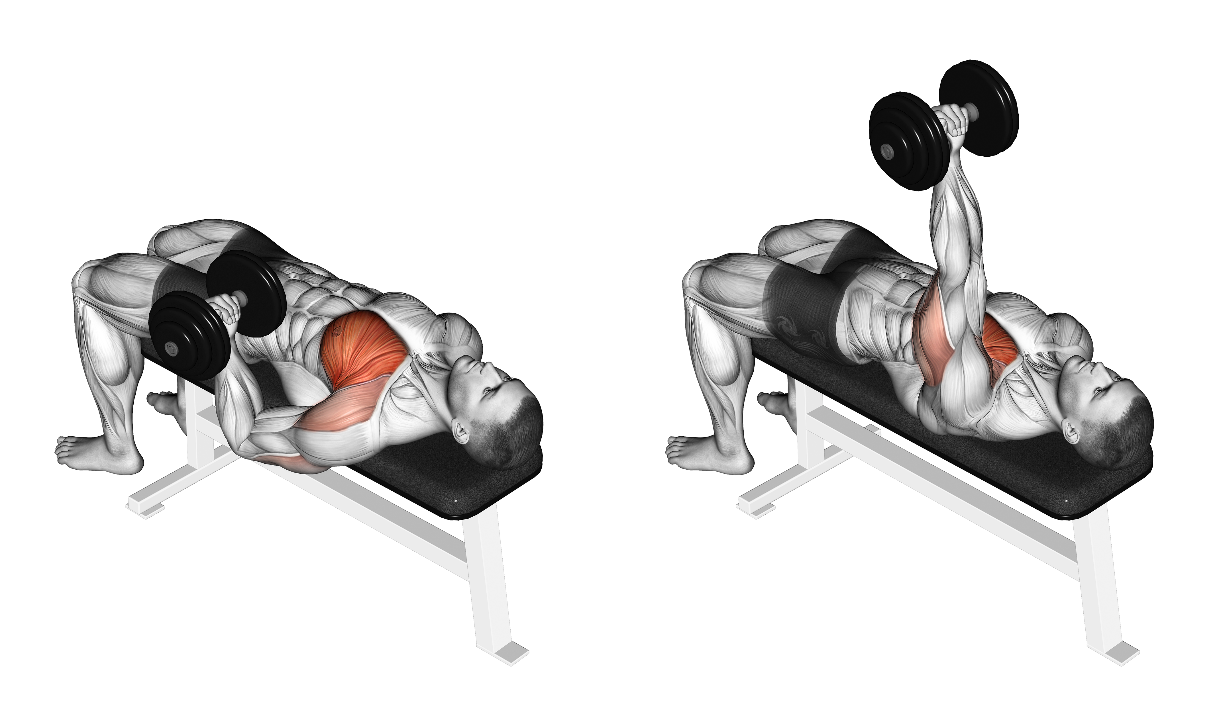 Dumbbell Lying One Arm Press