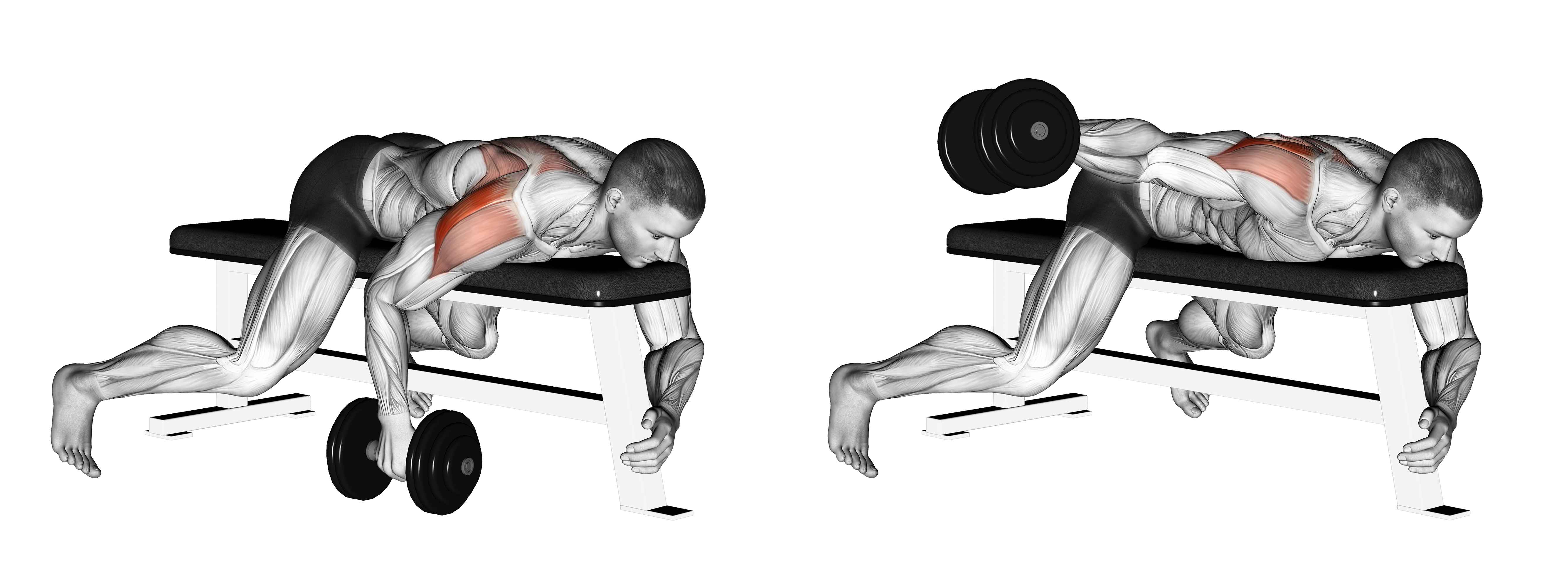 Dumbbell Lying One Arm Rear Lateral Raise