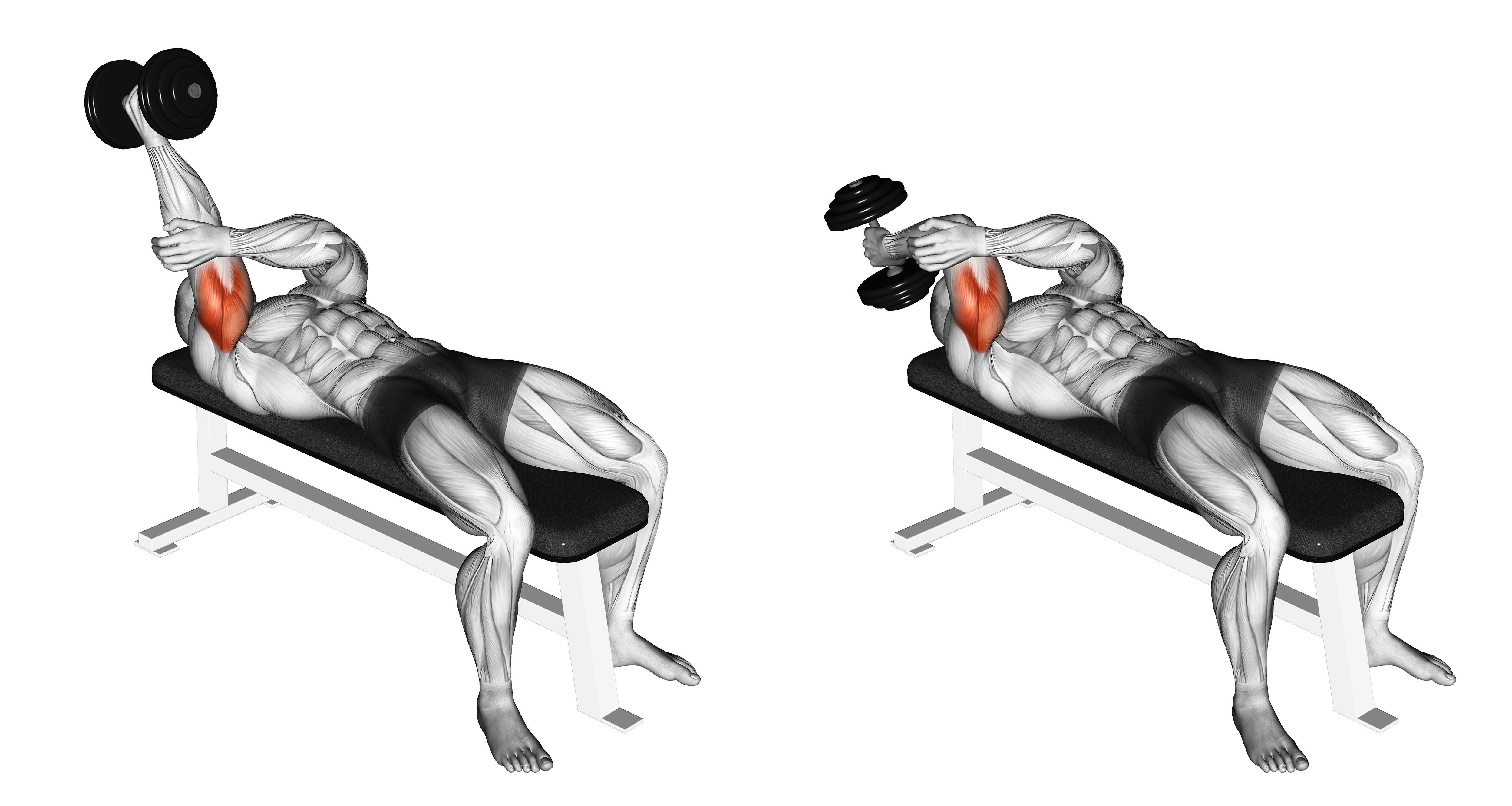 Dumbbell Lying One Arm Supinated Triceps Extension
