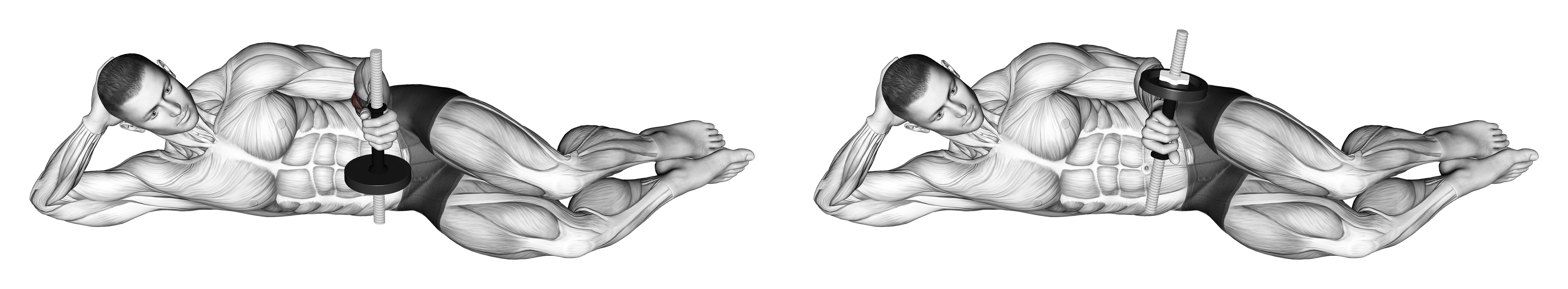 Dumbbell Lying Pronation On Floor