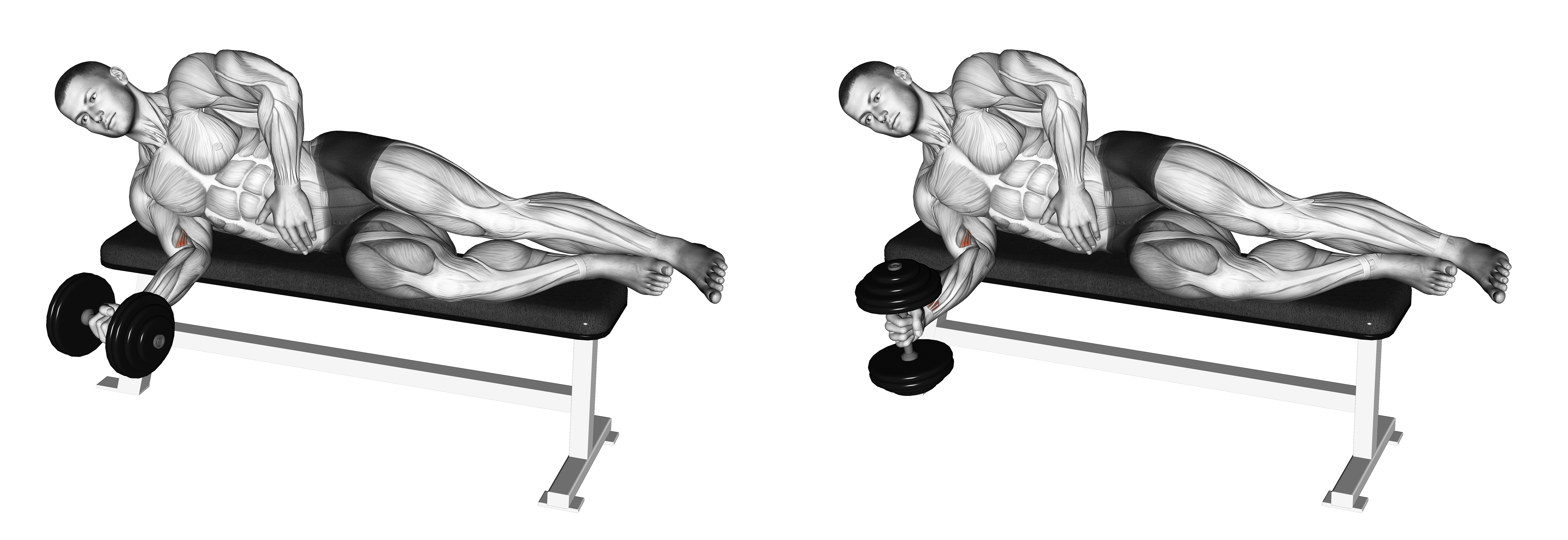 Dumbbell Lying Pronation
