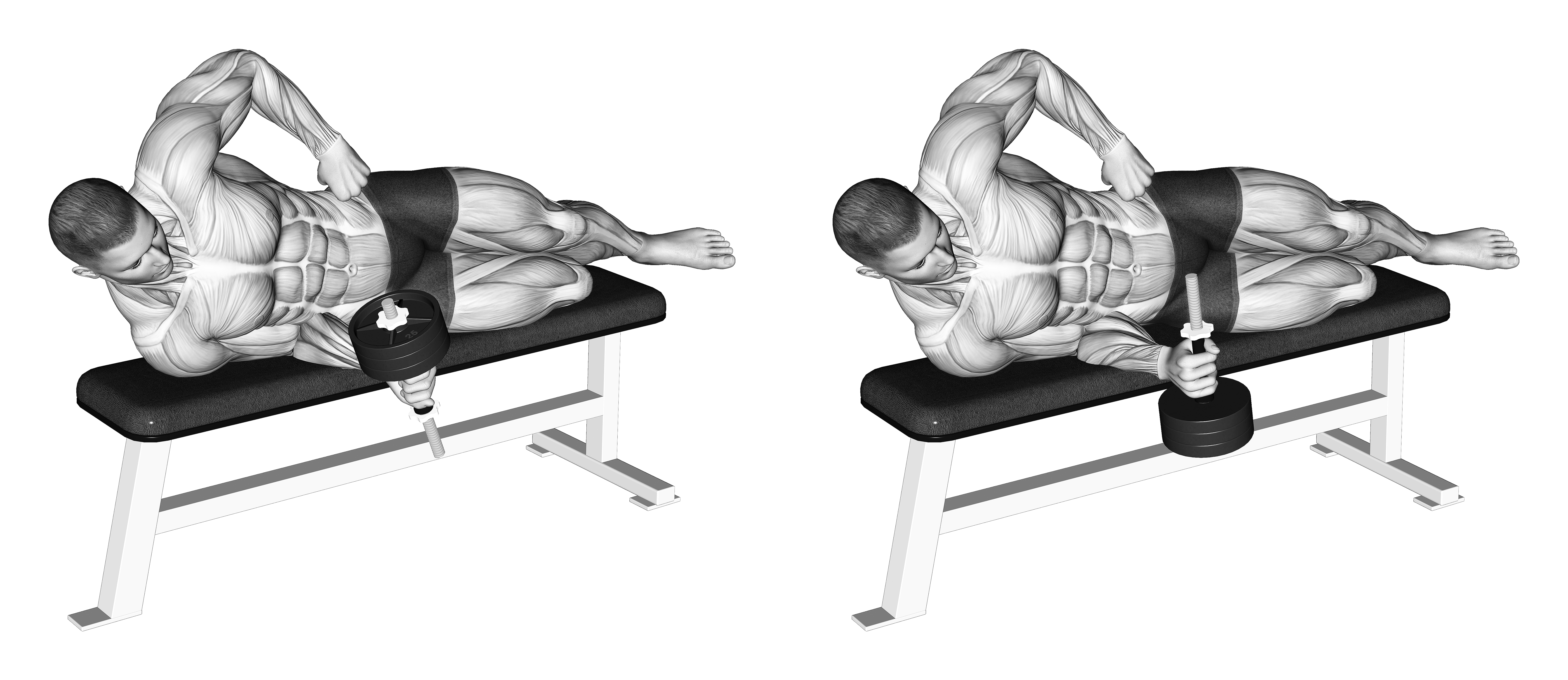 Dumbbell Lying Supination