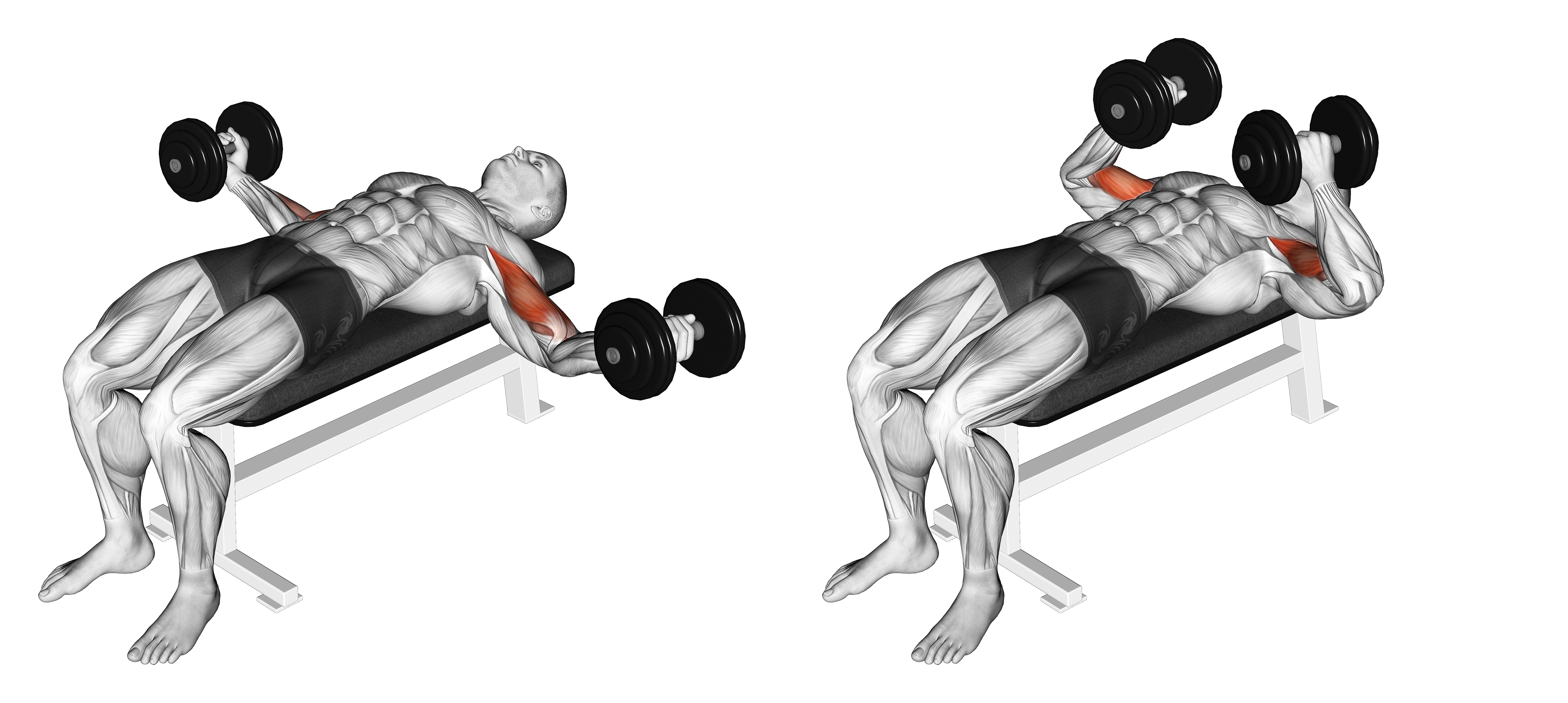 Dumbbell Lying Wide Curl