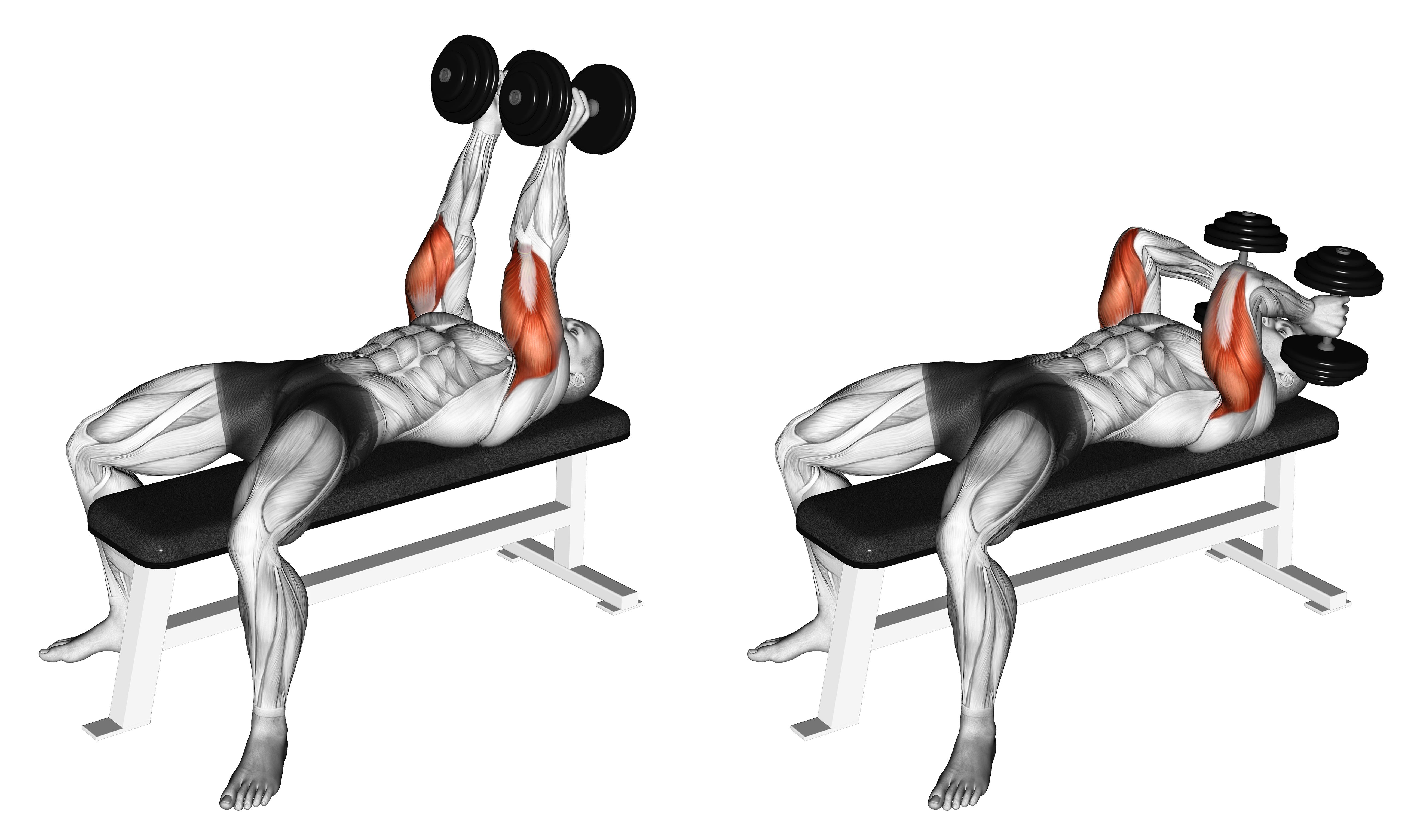 Dumbbell Neutral Grip Bench Press