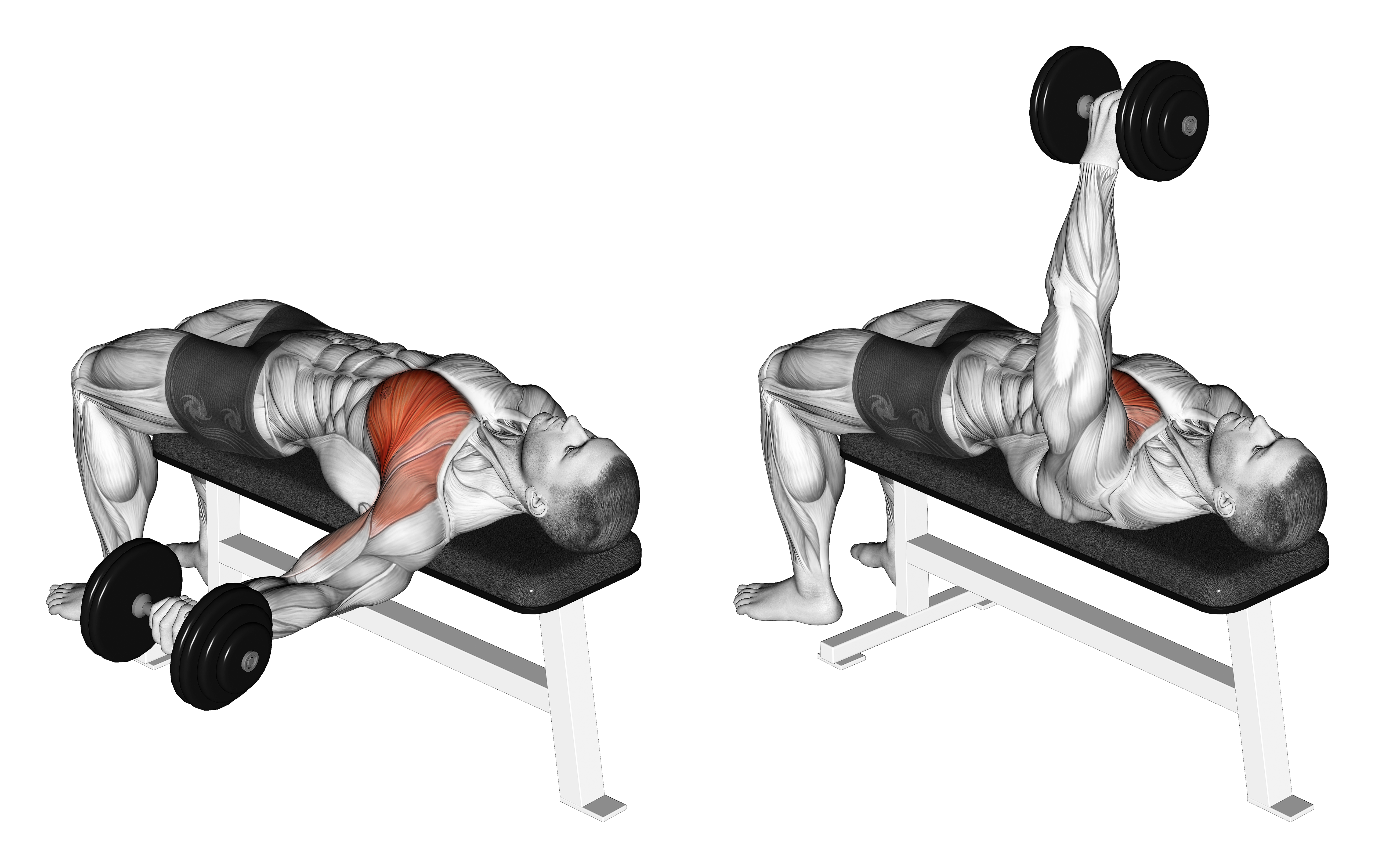 Dumbbell One Arm Bench Fly