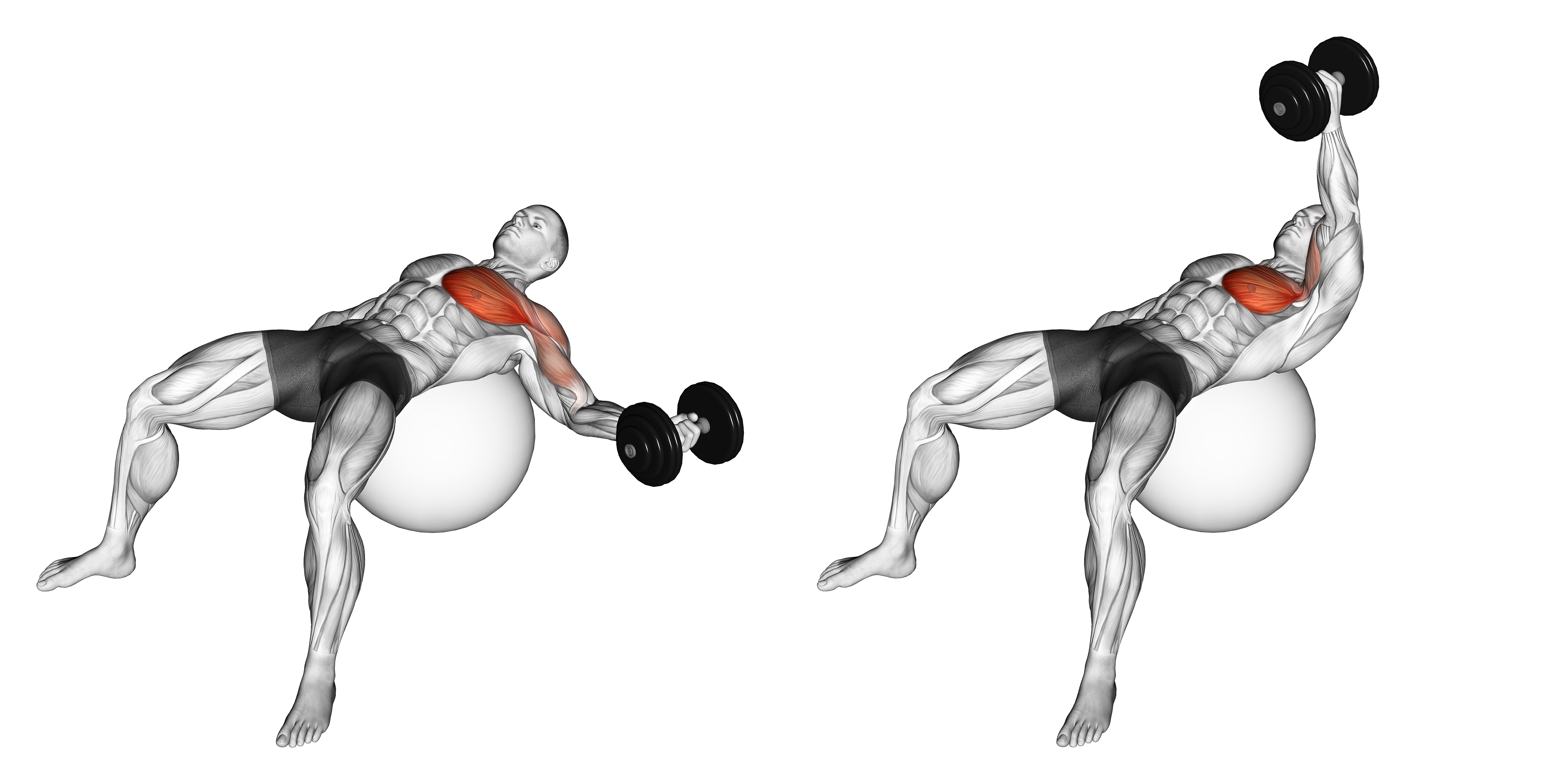 Dumbbell One Arm Chest Fly On Exercise Ball