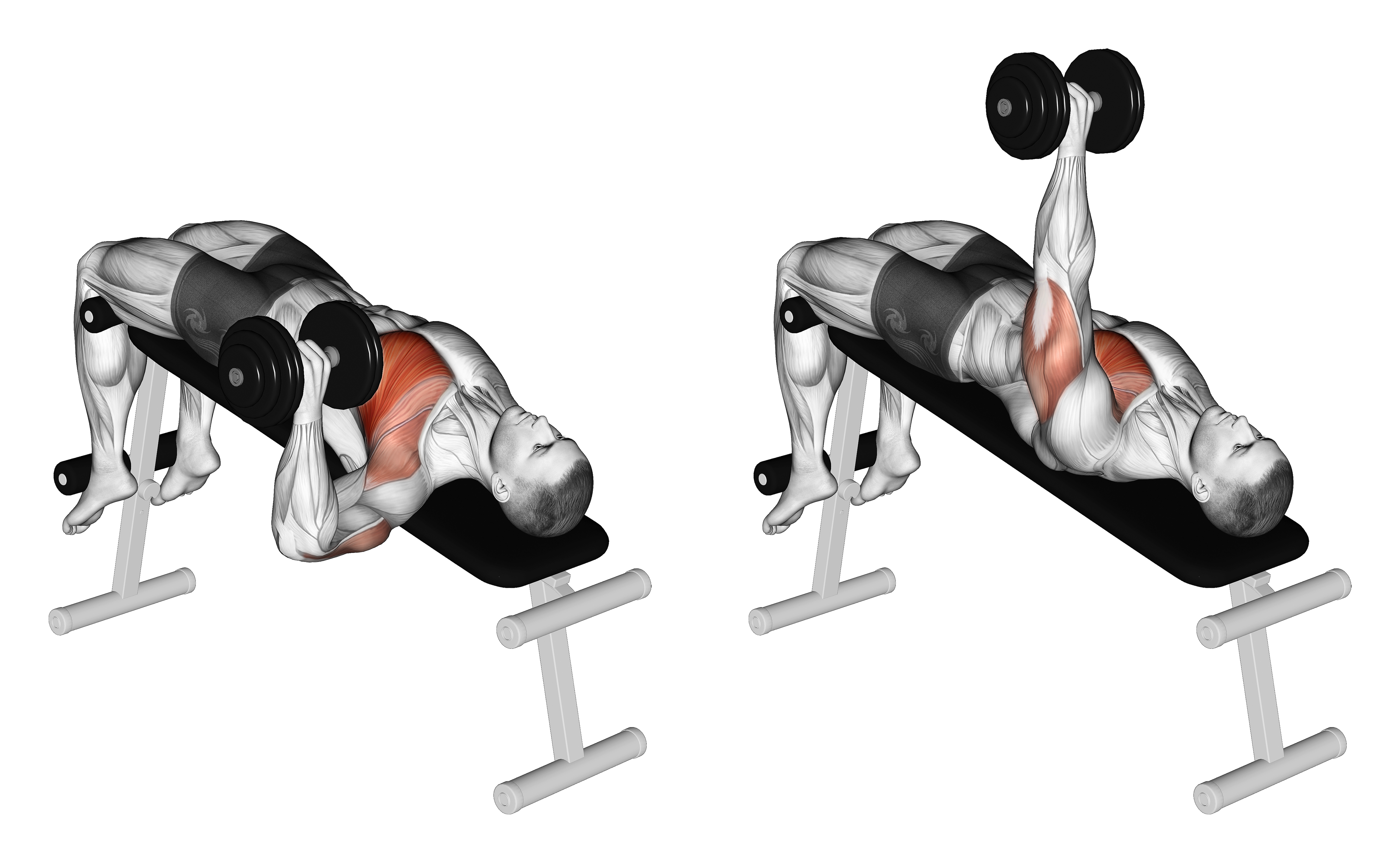 Dumbbell One Arm Decline Chest Press