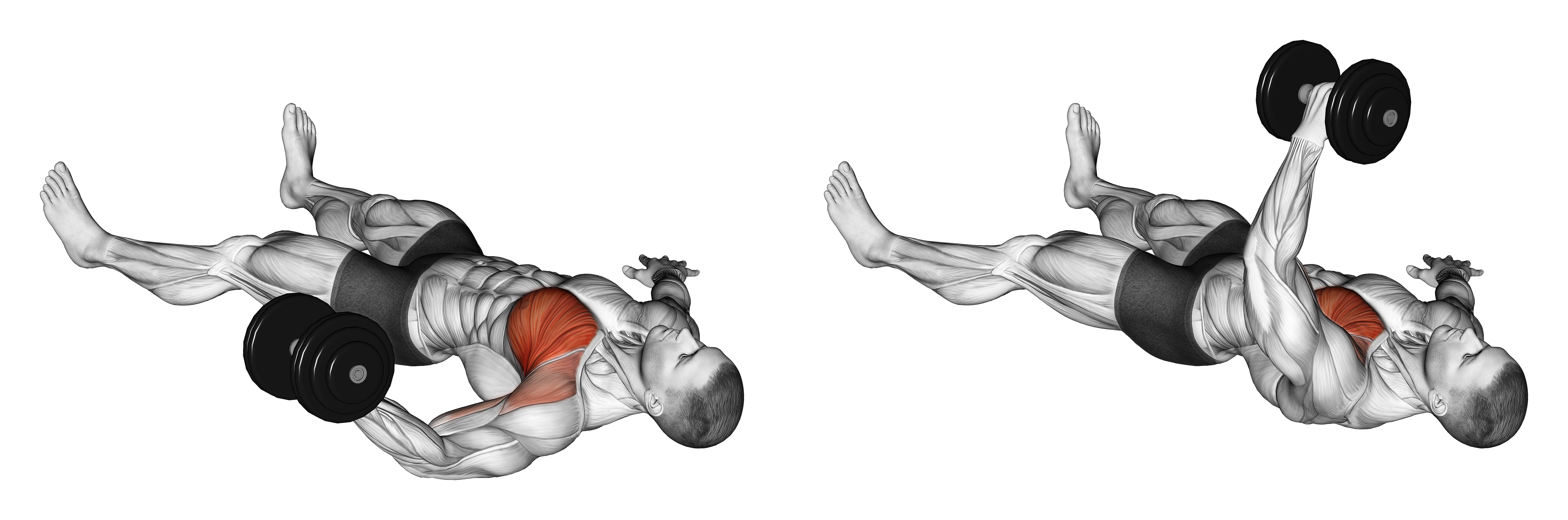 Dumbbell One Arm Floor Fly