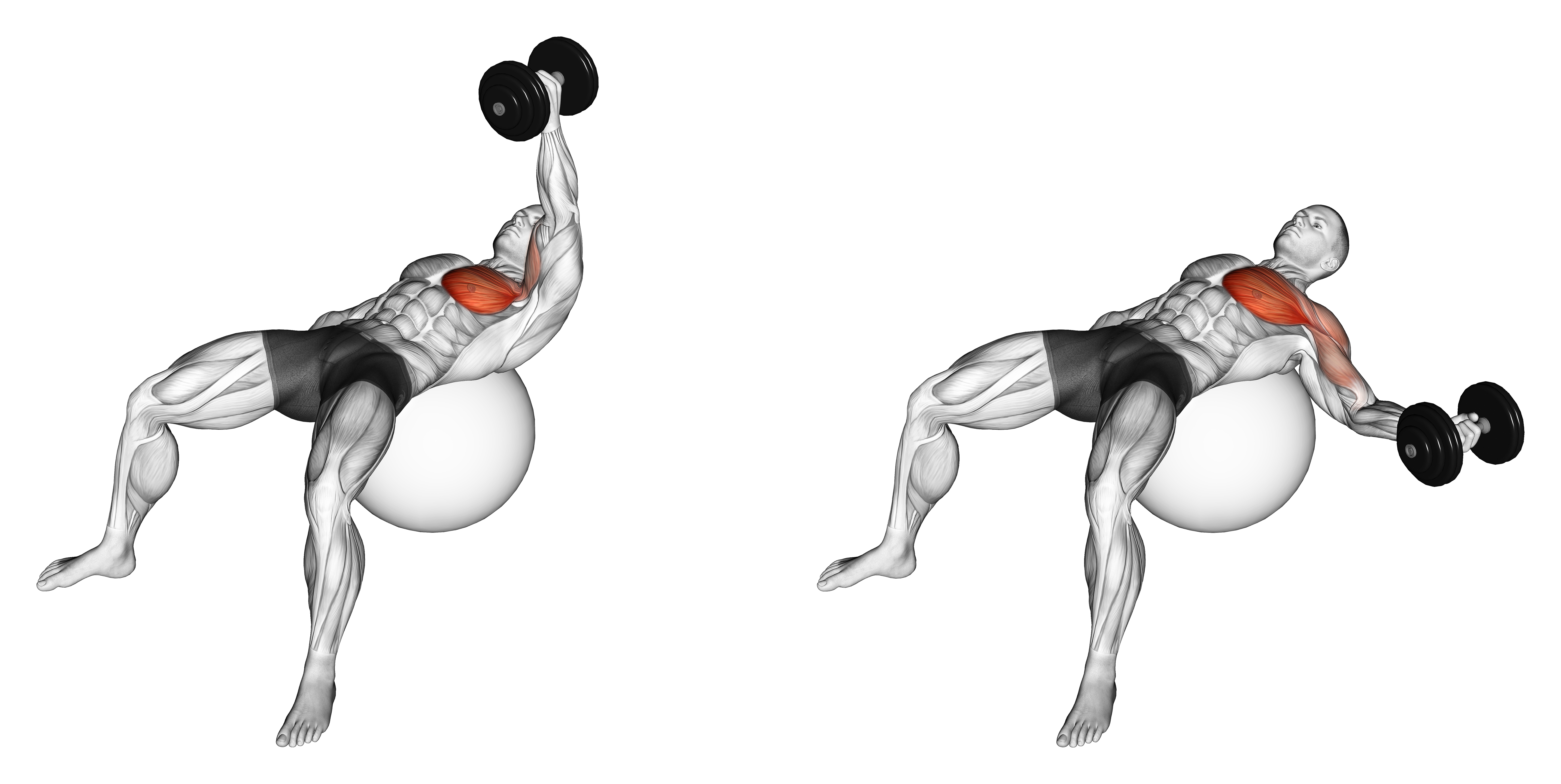Dumbbell One Arm Fly On Exercise Ball