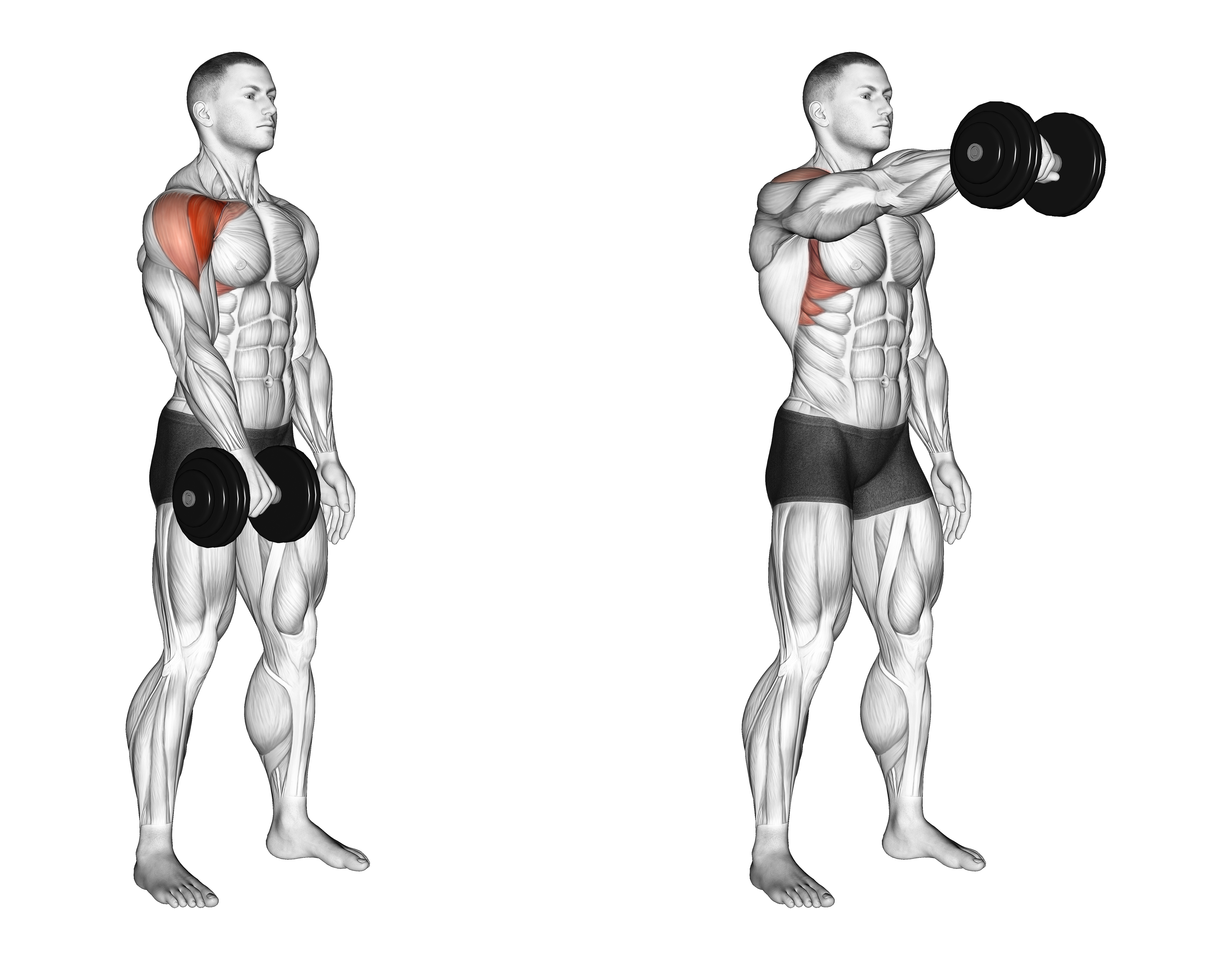 Dumbbell One Arm Front Raise