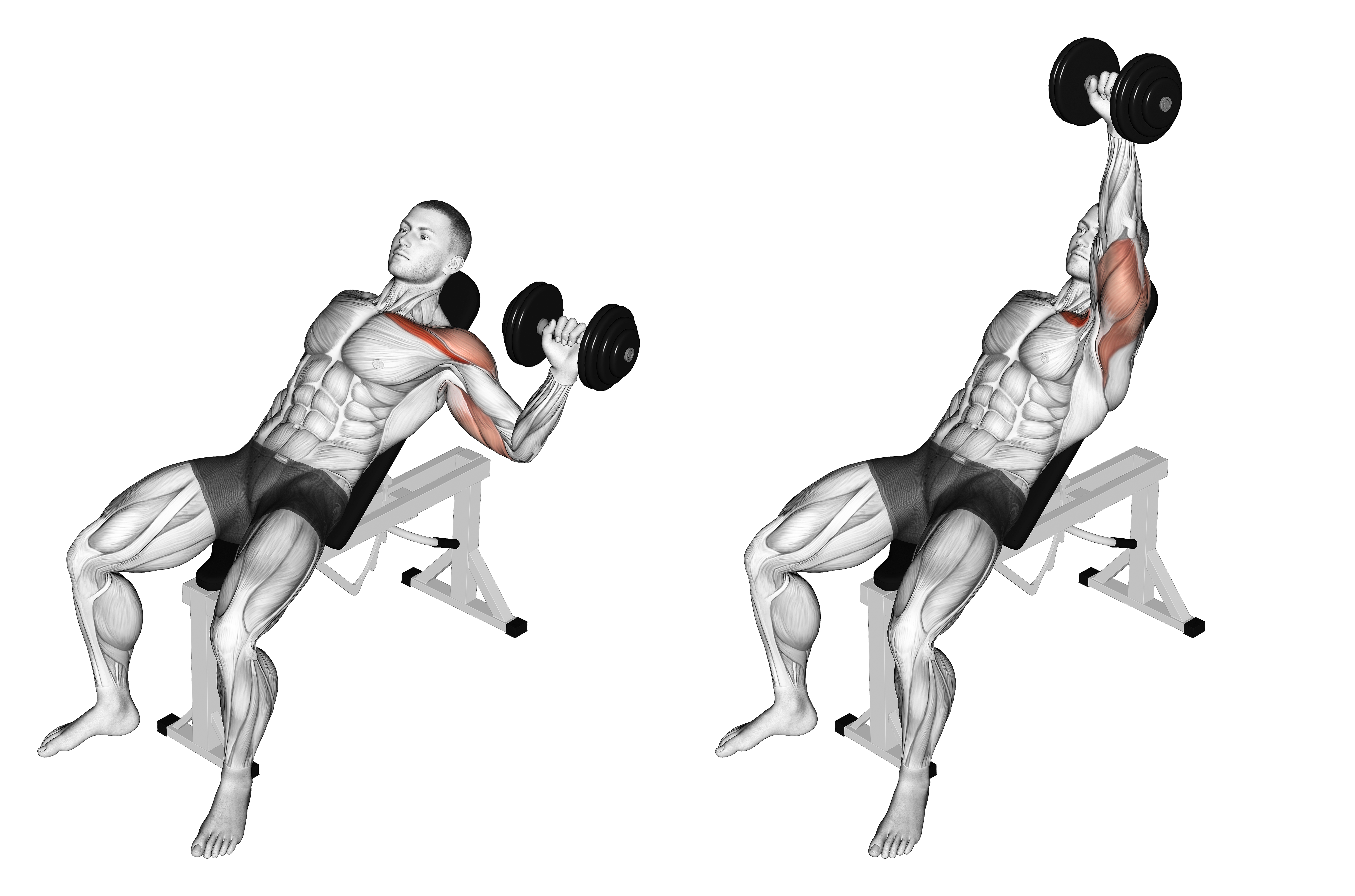 Dumbbell One Arm Incline Chest Press