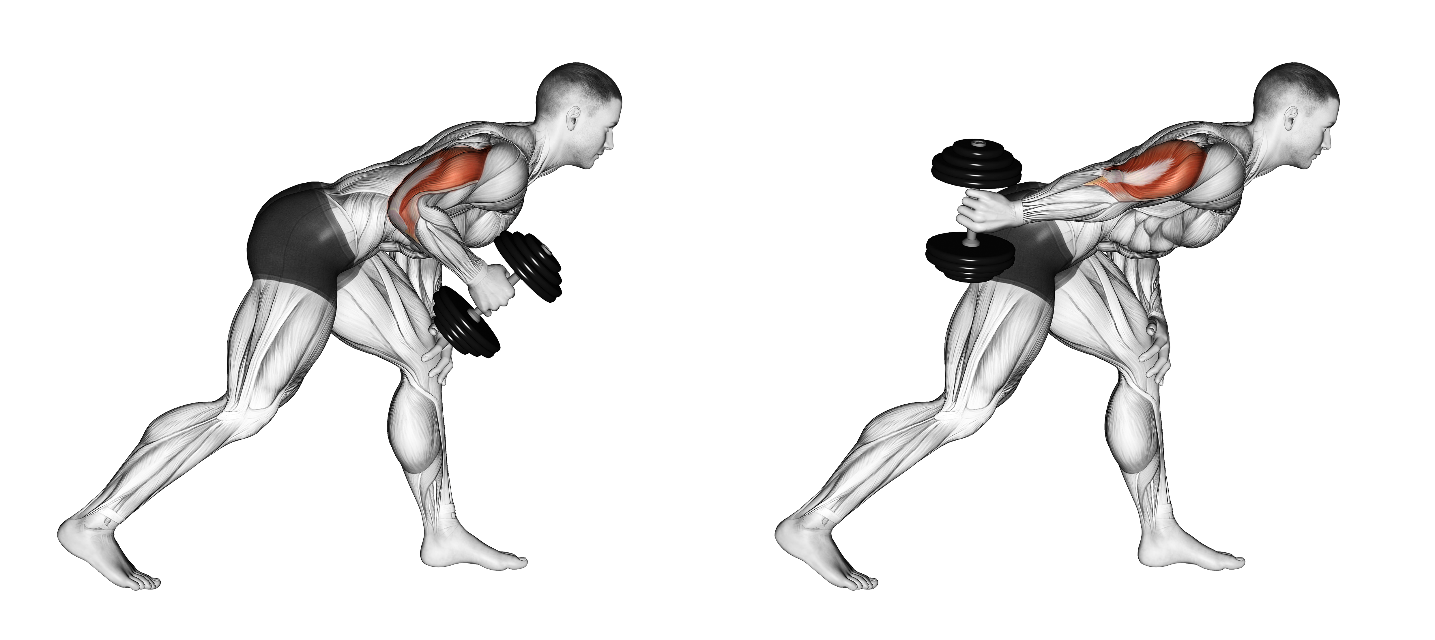 Dumbbell One Arm Kickback
