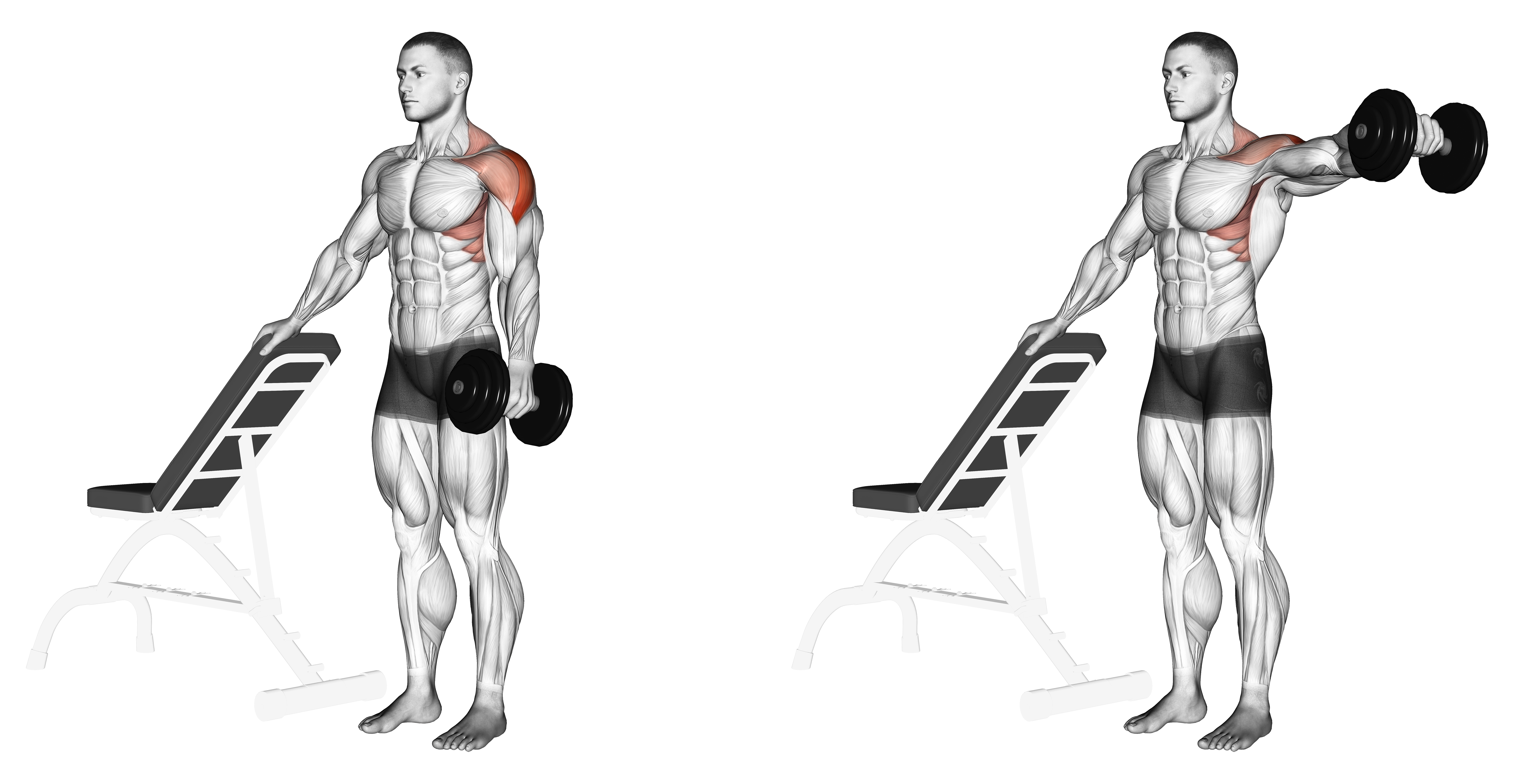 Dumbbell One Arm Lateral Raise