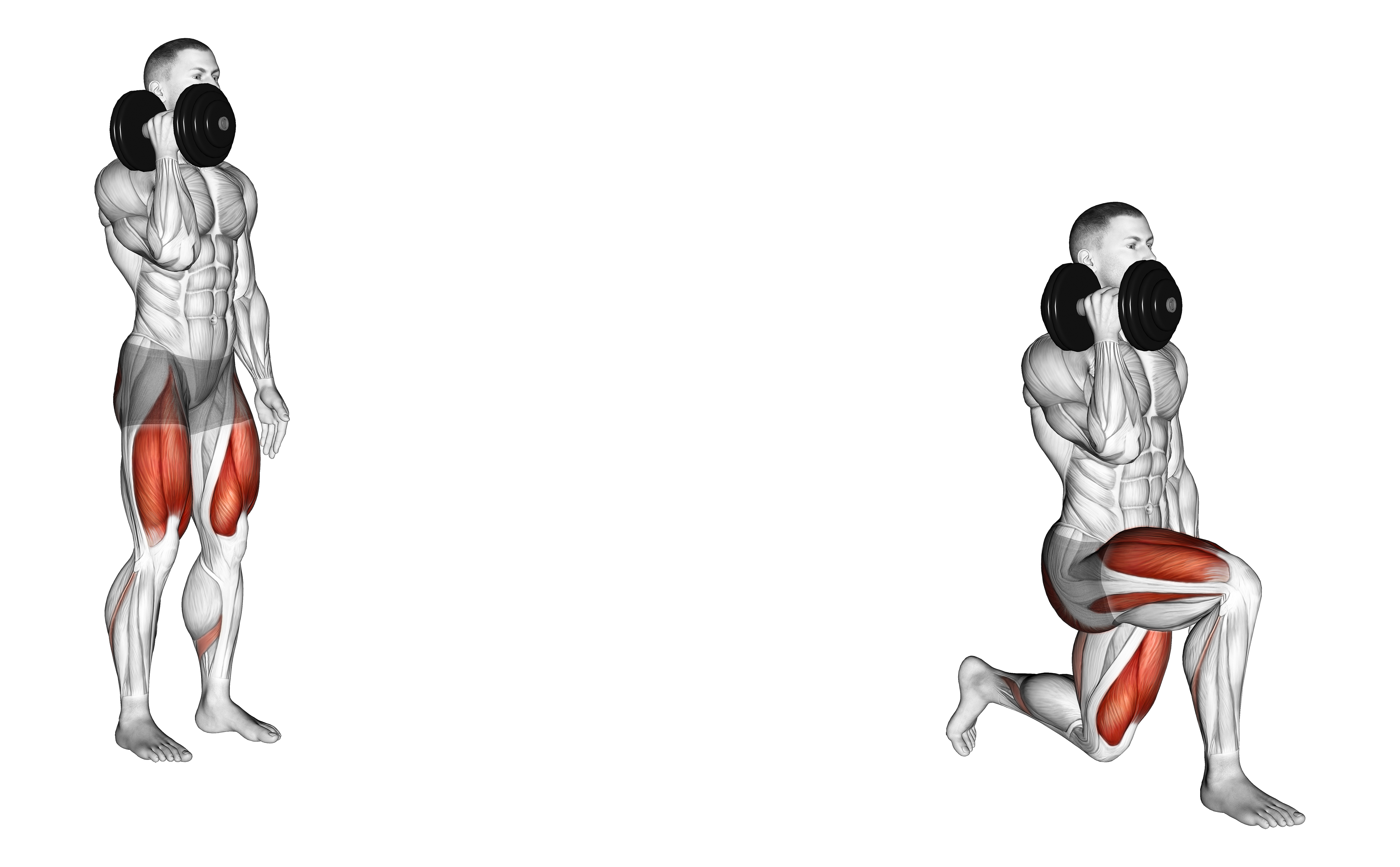 Dumbbell One Arm Lunge