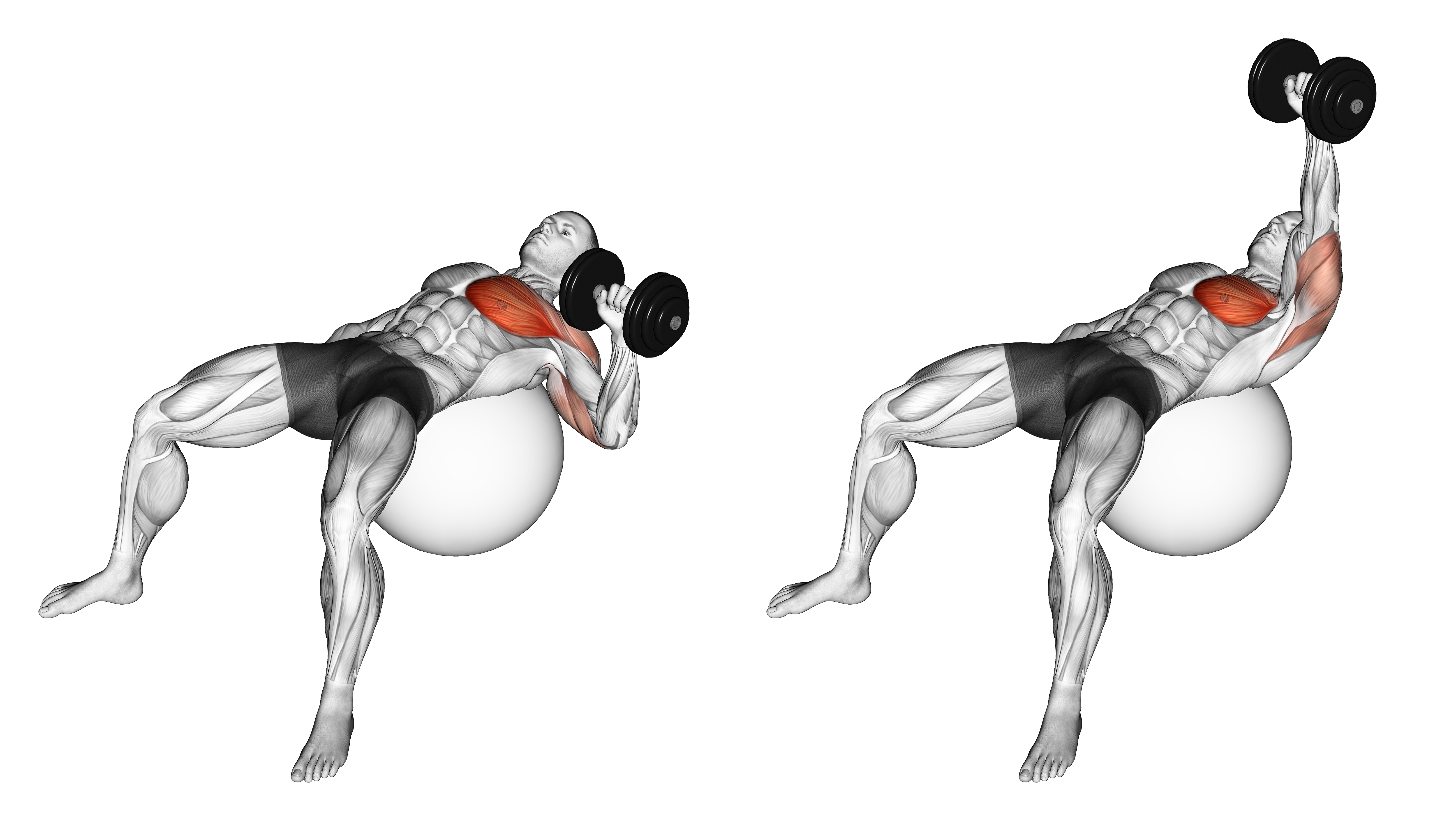 Dumbbell One Arm Press On Exercise Ball