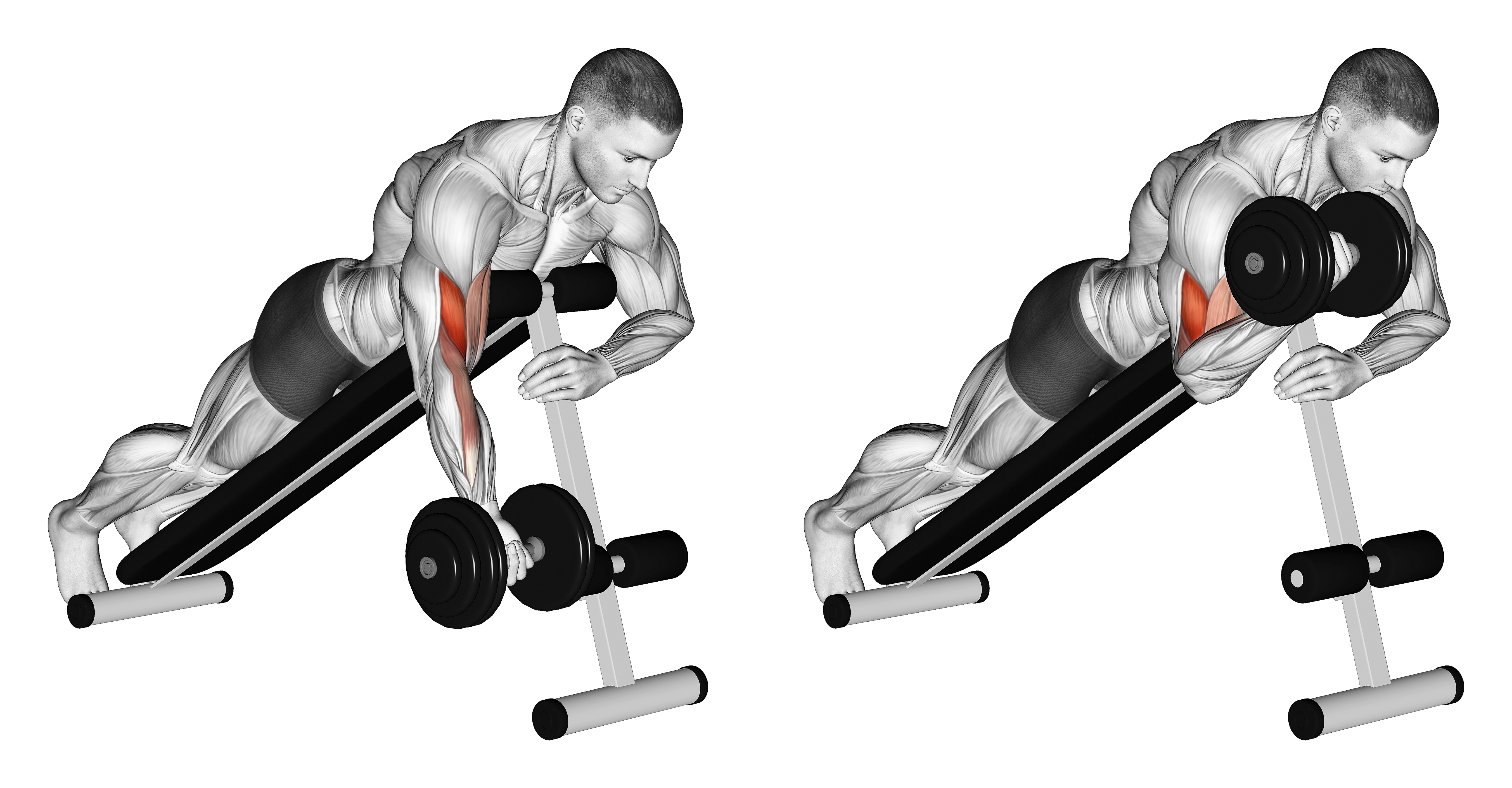 Dumbbell One Arm Prone Curl